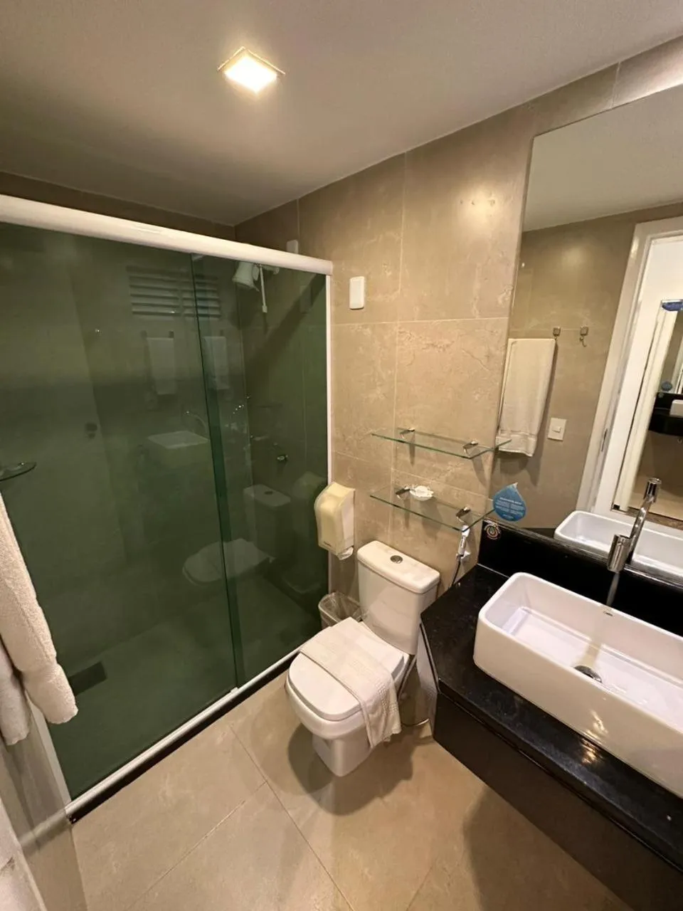 Toilet in Hotel Brasil Tropical