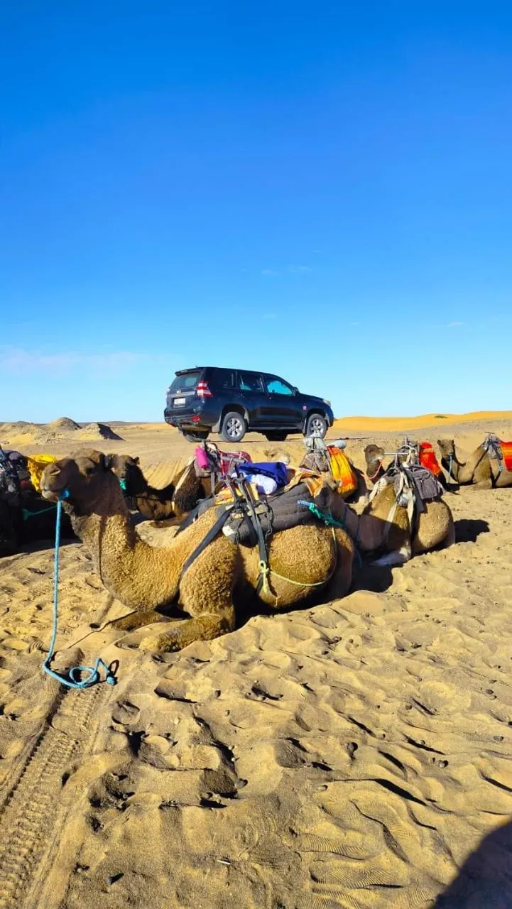 Day in Merzouga wild Camp