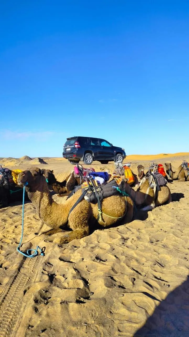 Day in Merzouga wild Camp
