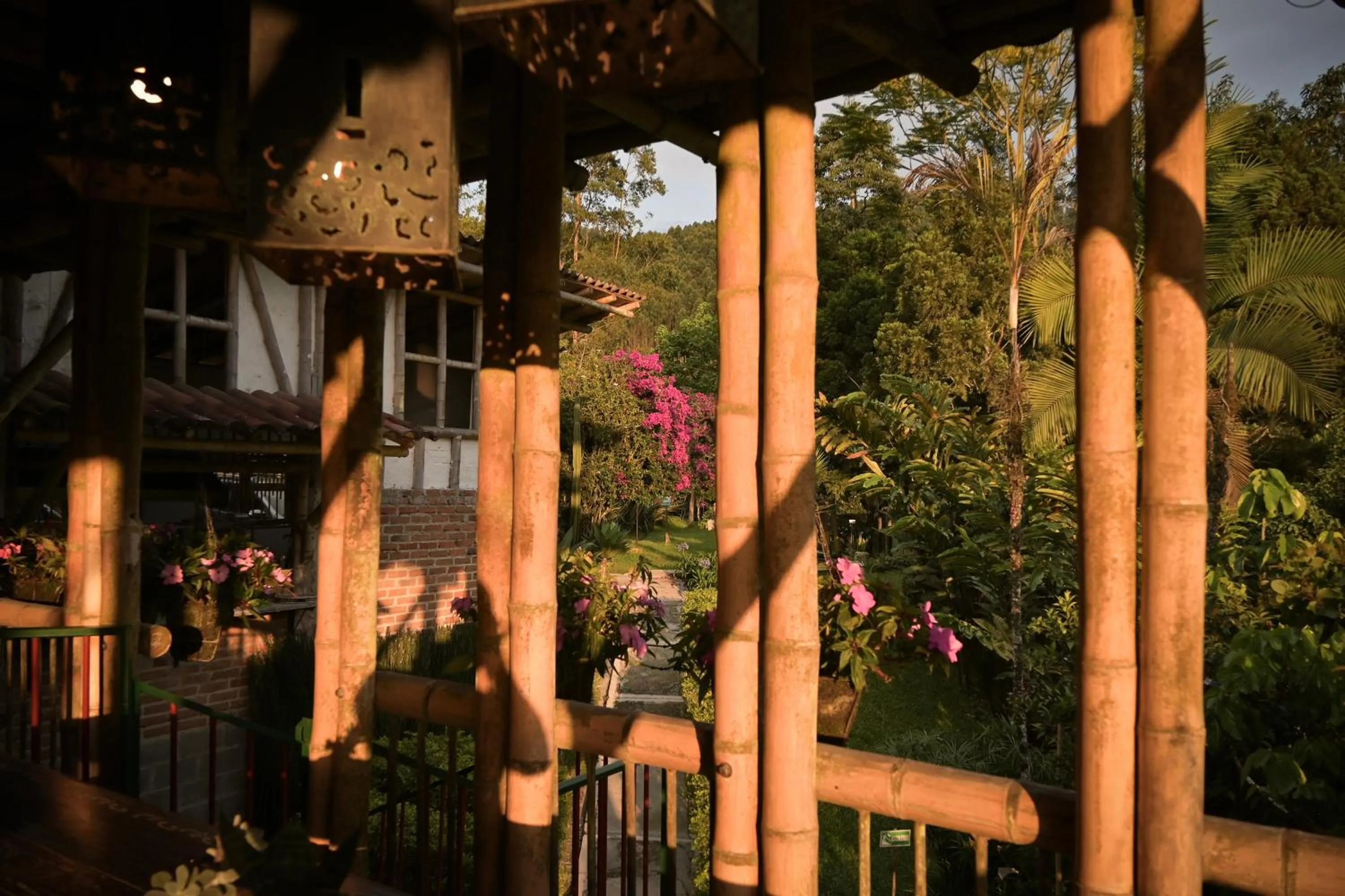 Garden in Hotel Vísperas