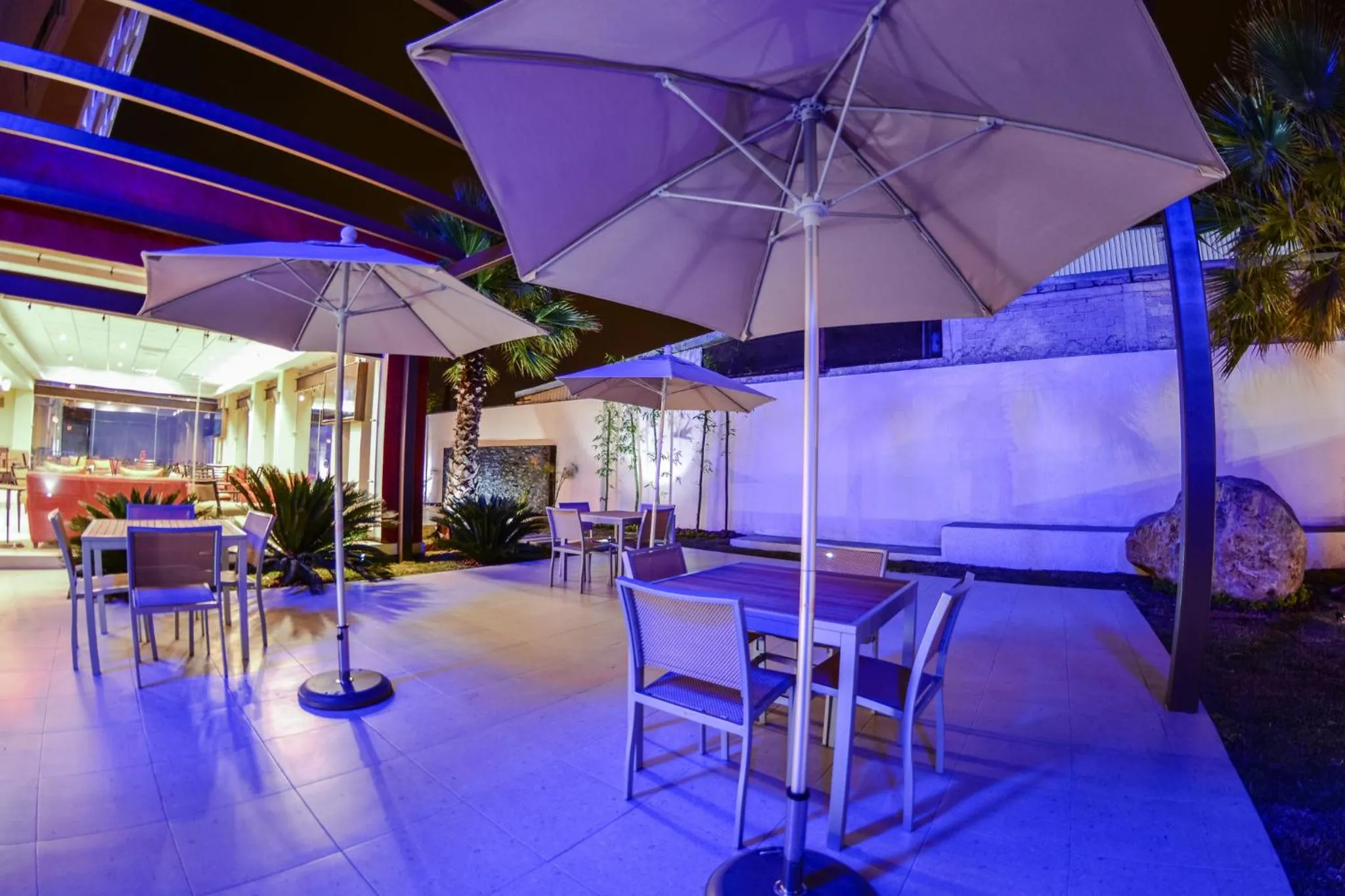 Other in Holiday Inn Express Guadalajara Aeropuerto by IHG