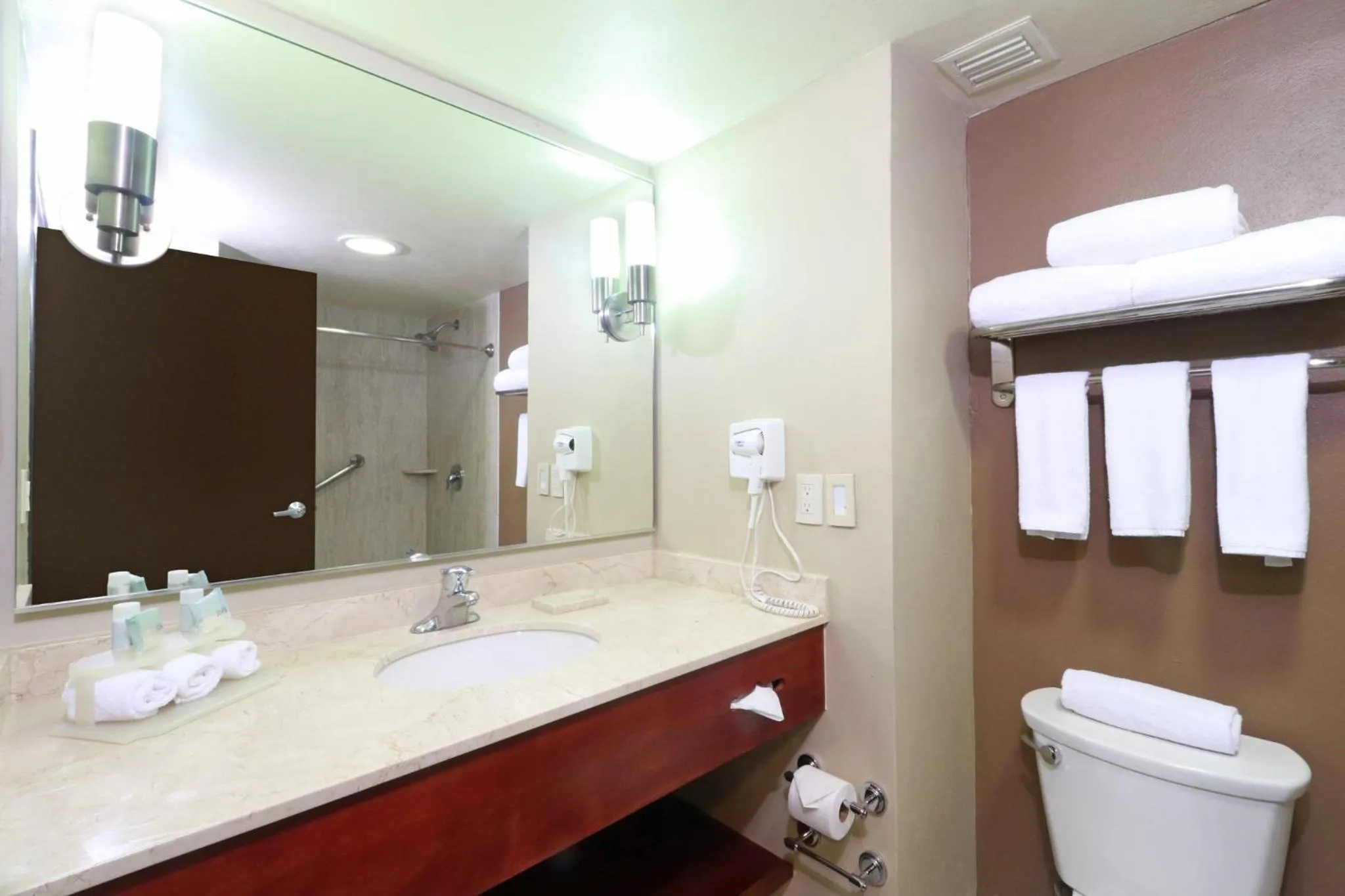 Bathroom in Holiday Inn Express Guadalajara Aeropuerto by IHG