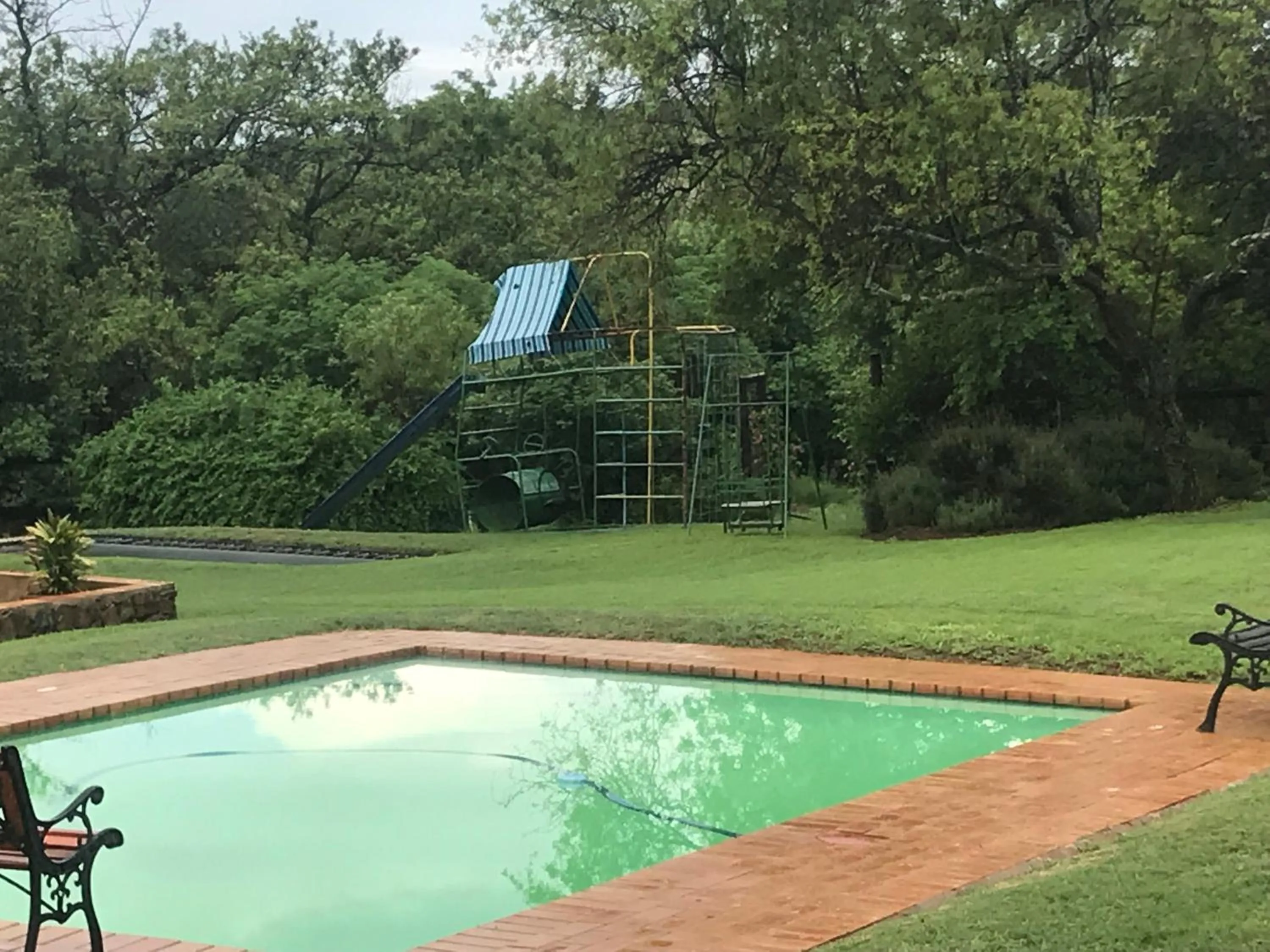 Swimming pool in Olive Tree Farm