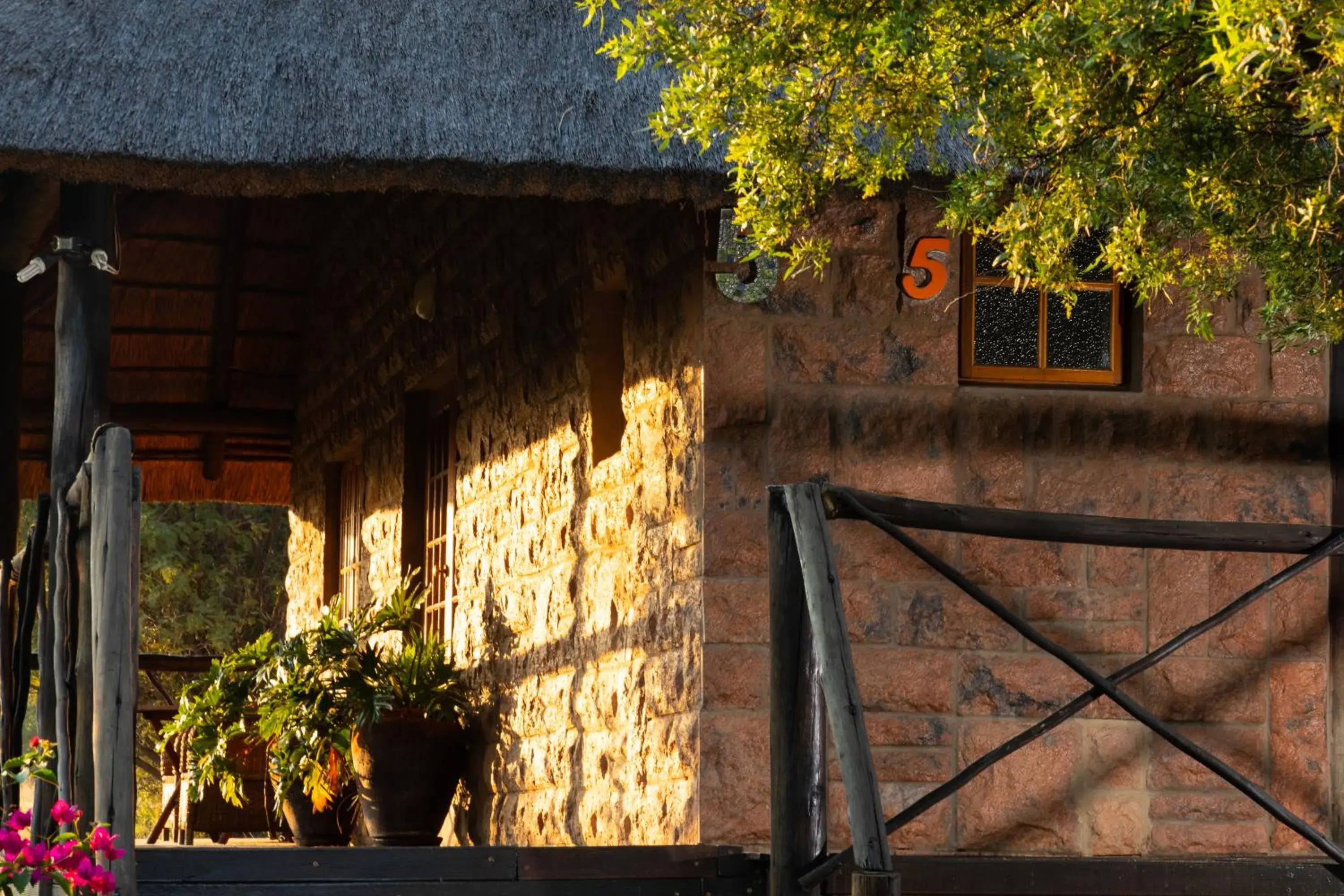 Suite in Olive Tree Farm Suite in Olive Tree Farm