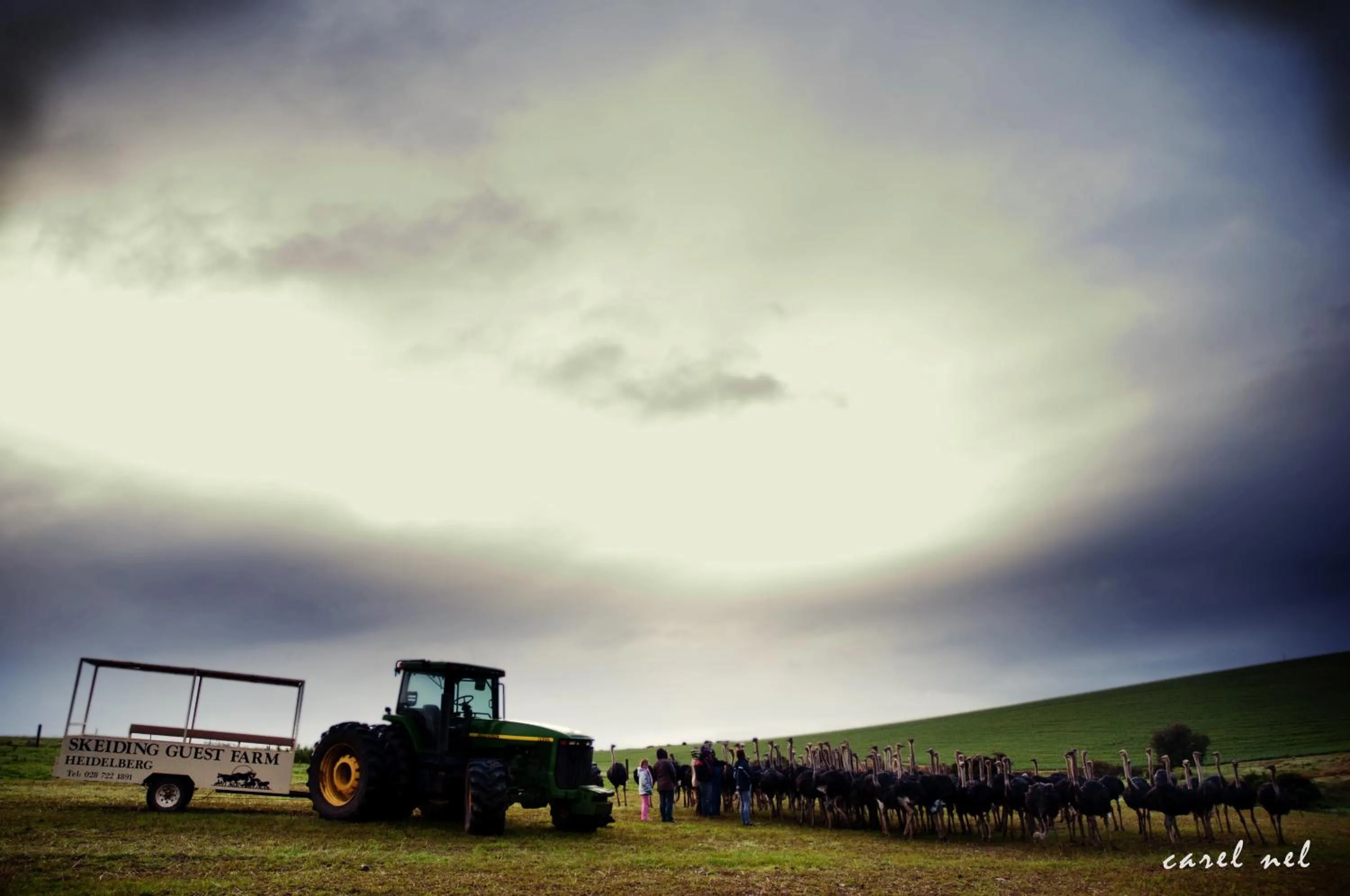 Other in Skeiding Guest Farm
