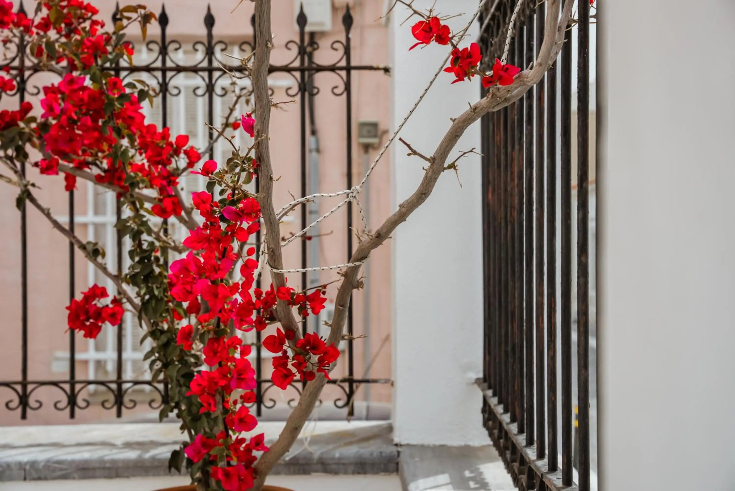 Spring in Archontiko Eleni Hotel