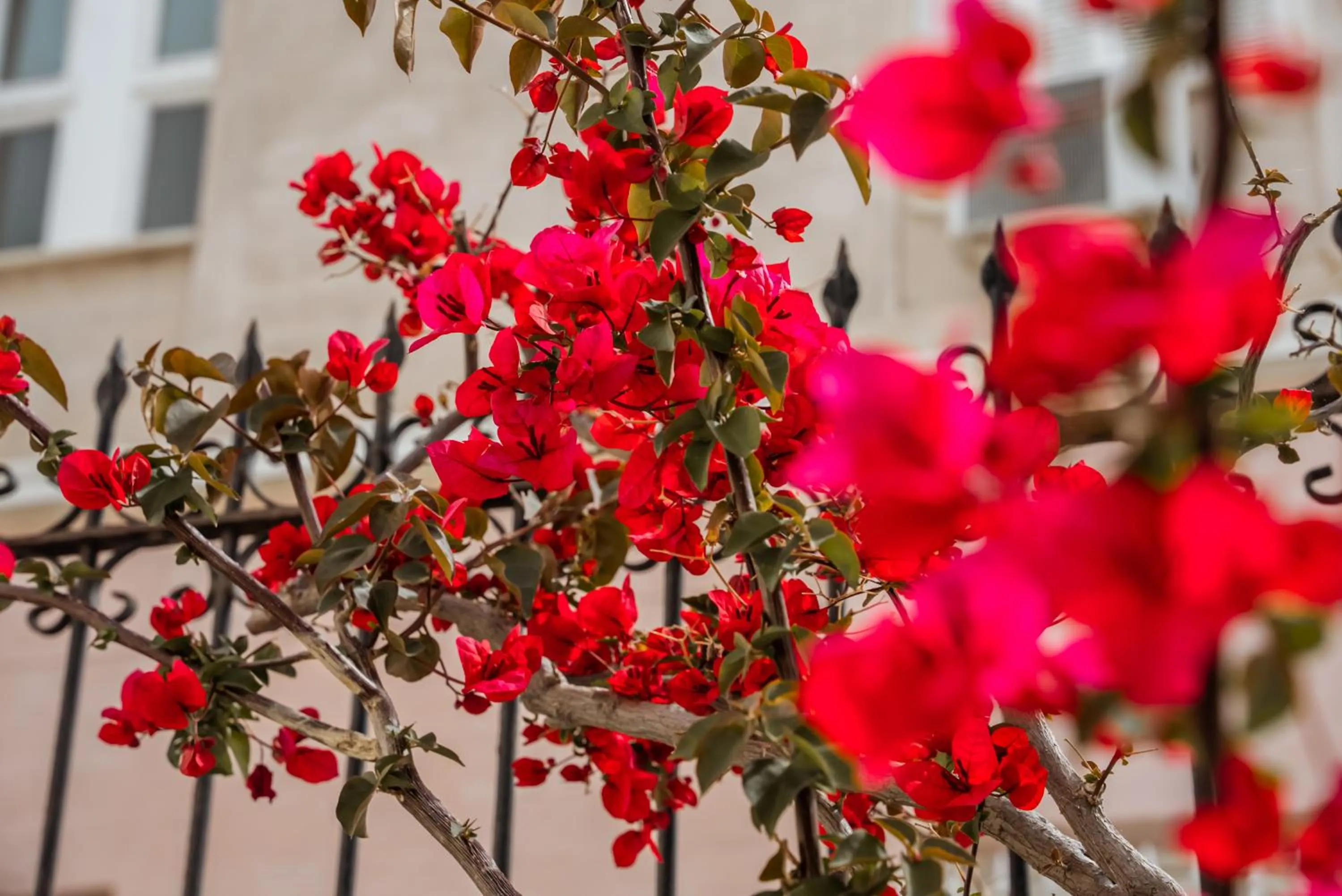 Spring in Archontiko Eleni Hotel