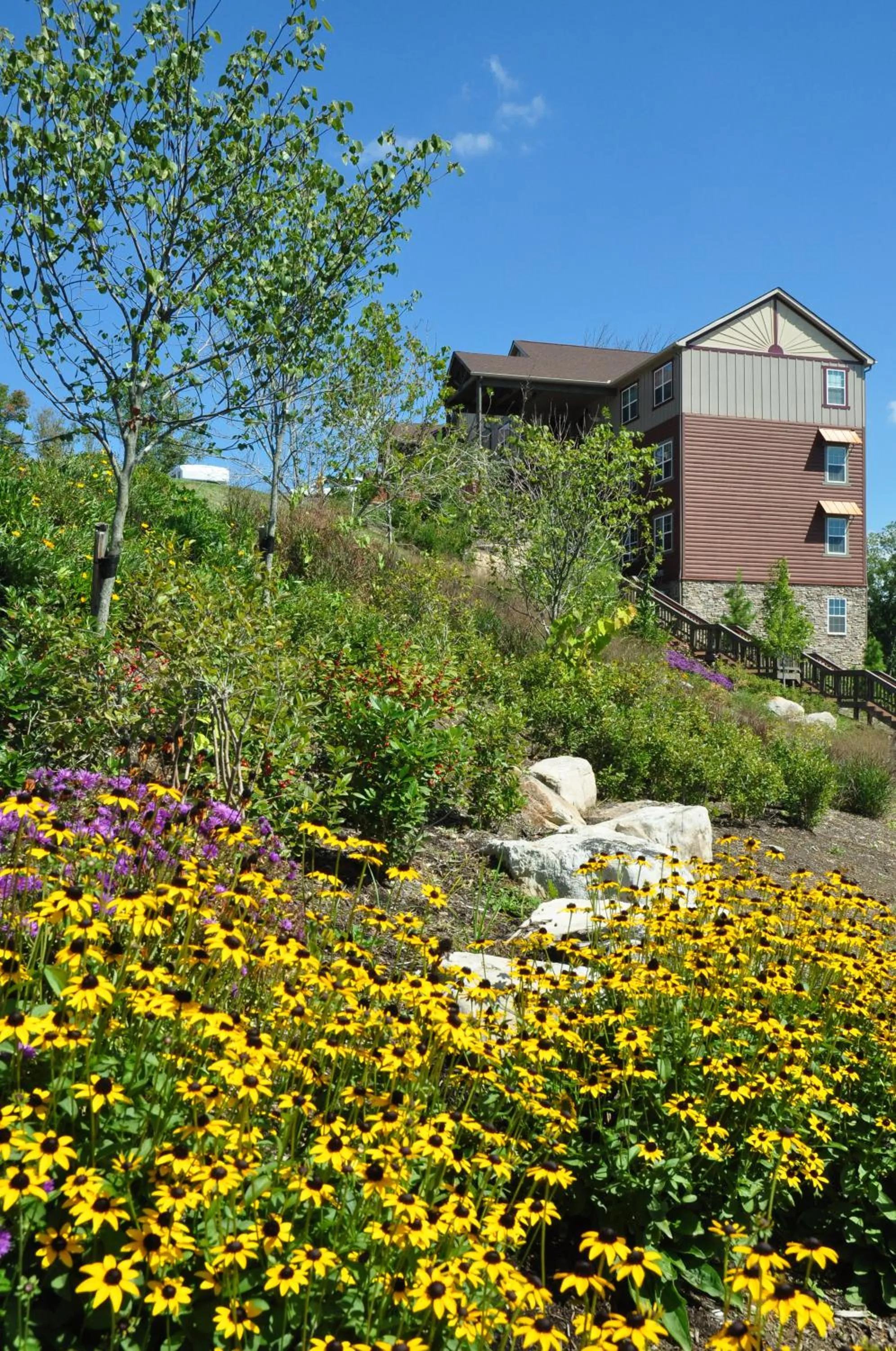Property building in The Lodges of the Great Smoky Mountains