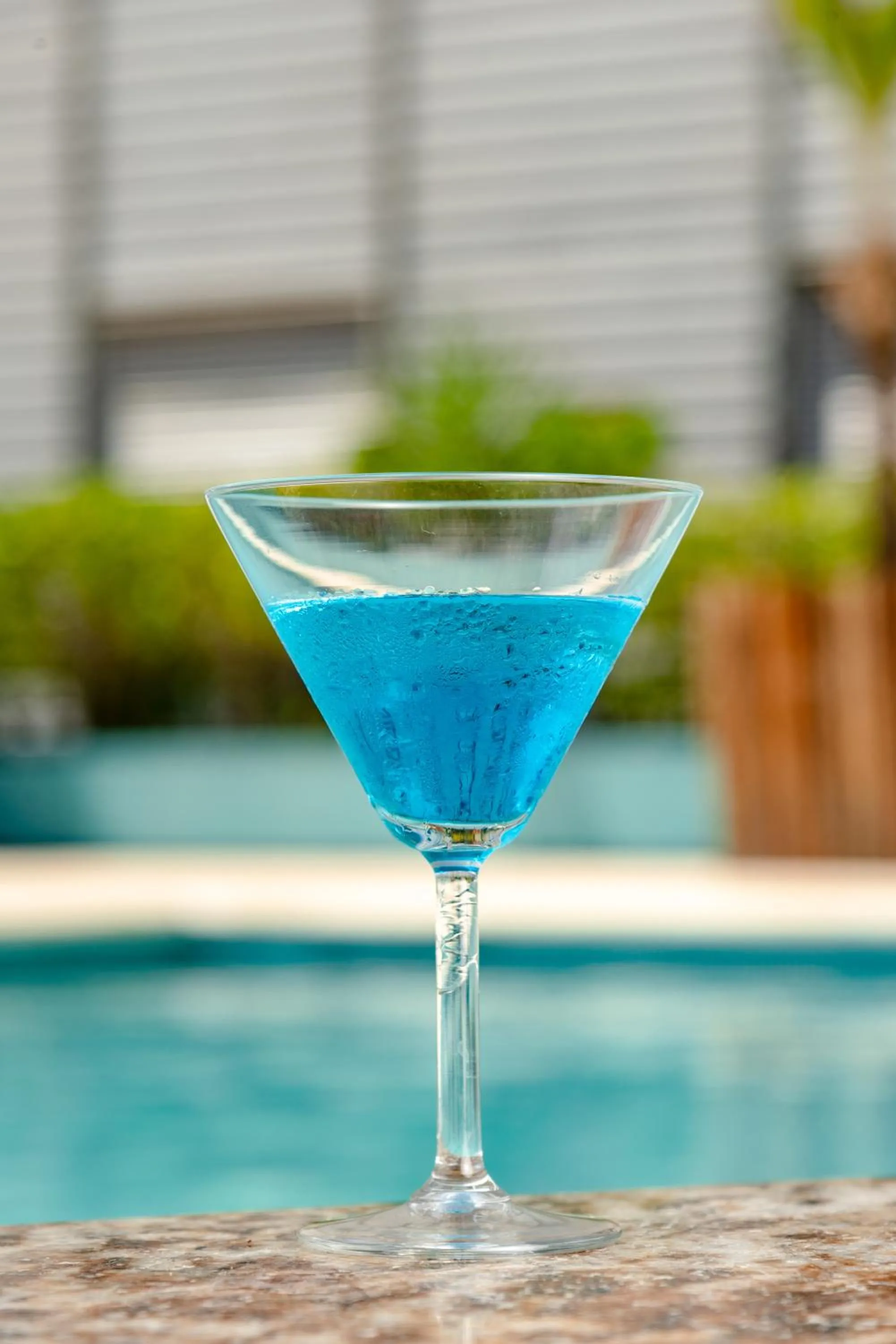 Lounge or bar in Oasis Imperial & Fortaleza