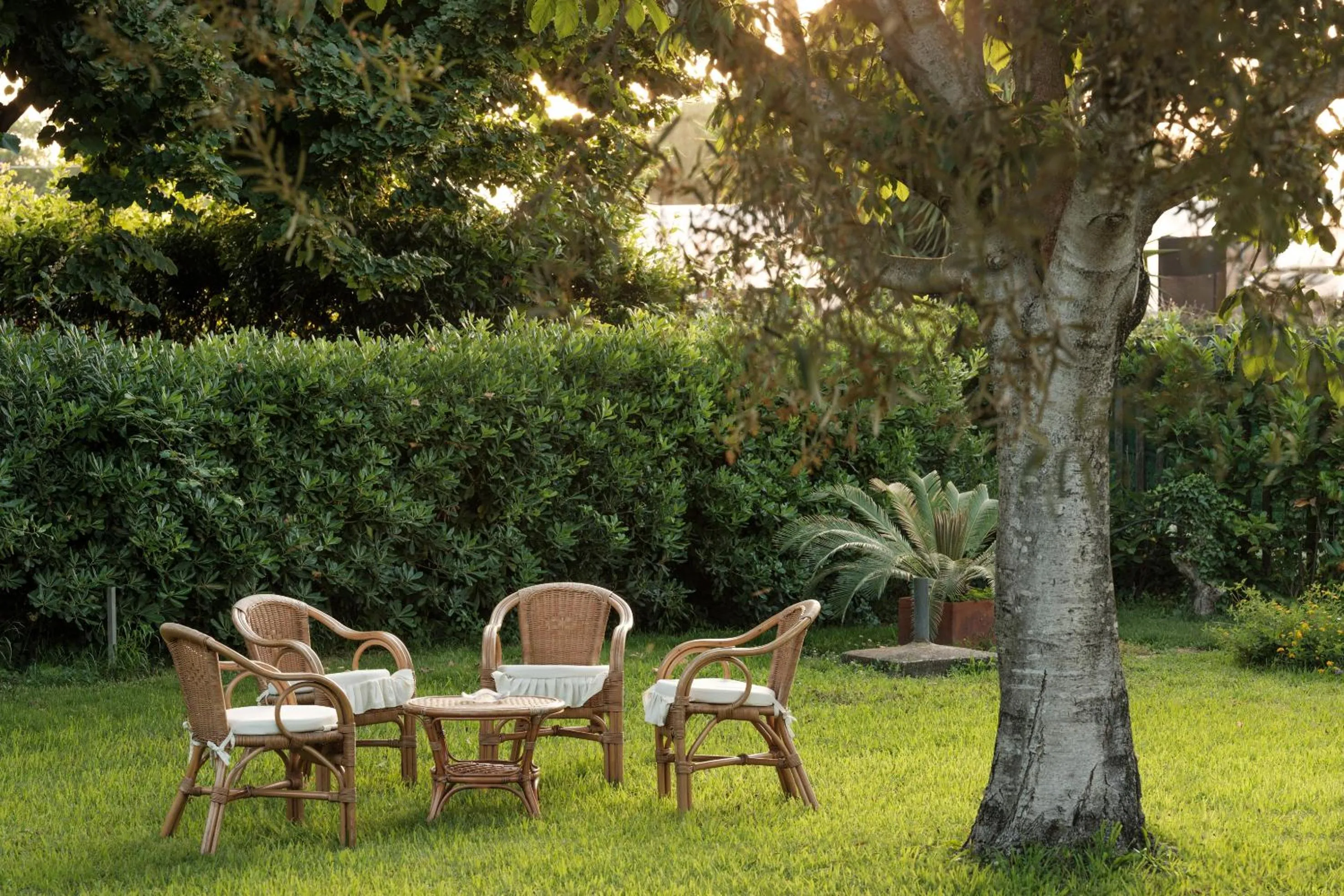Patio in Casa Consalvo B&b