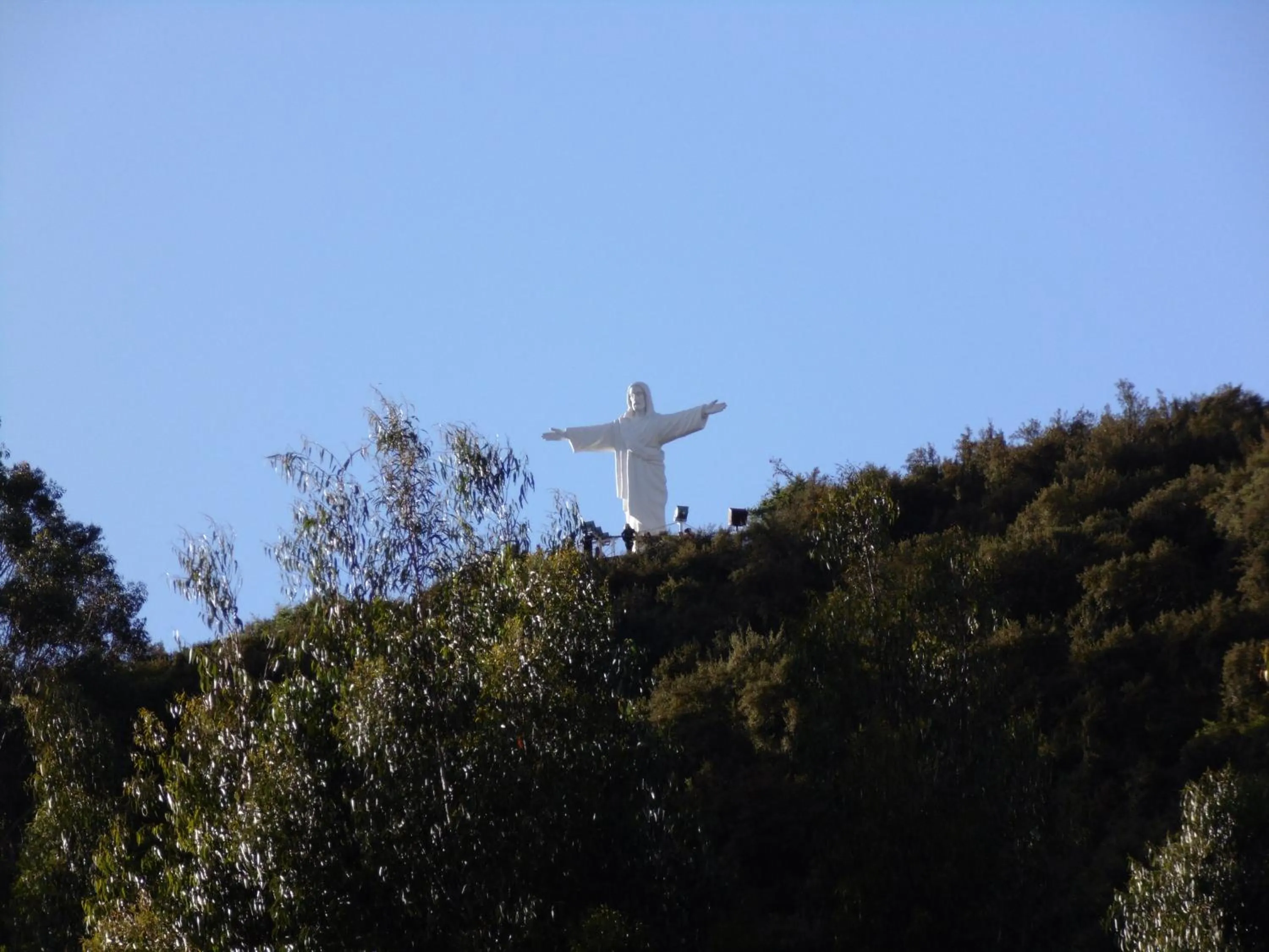 Natural landscape in Hotel Montecristo Cusco