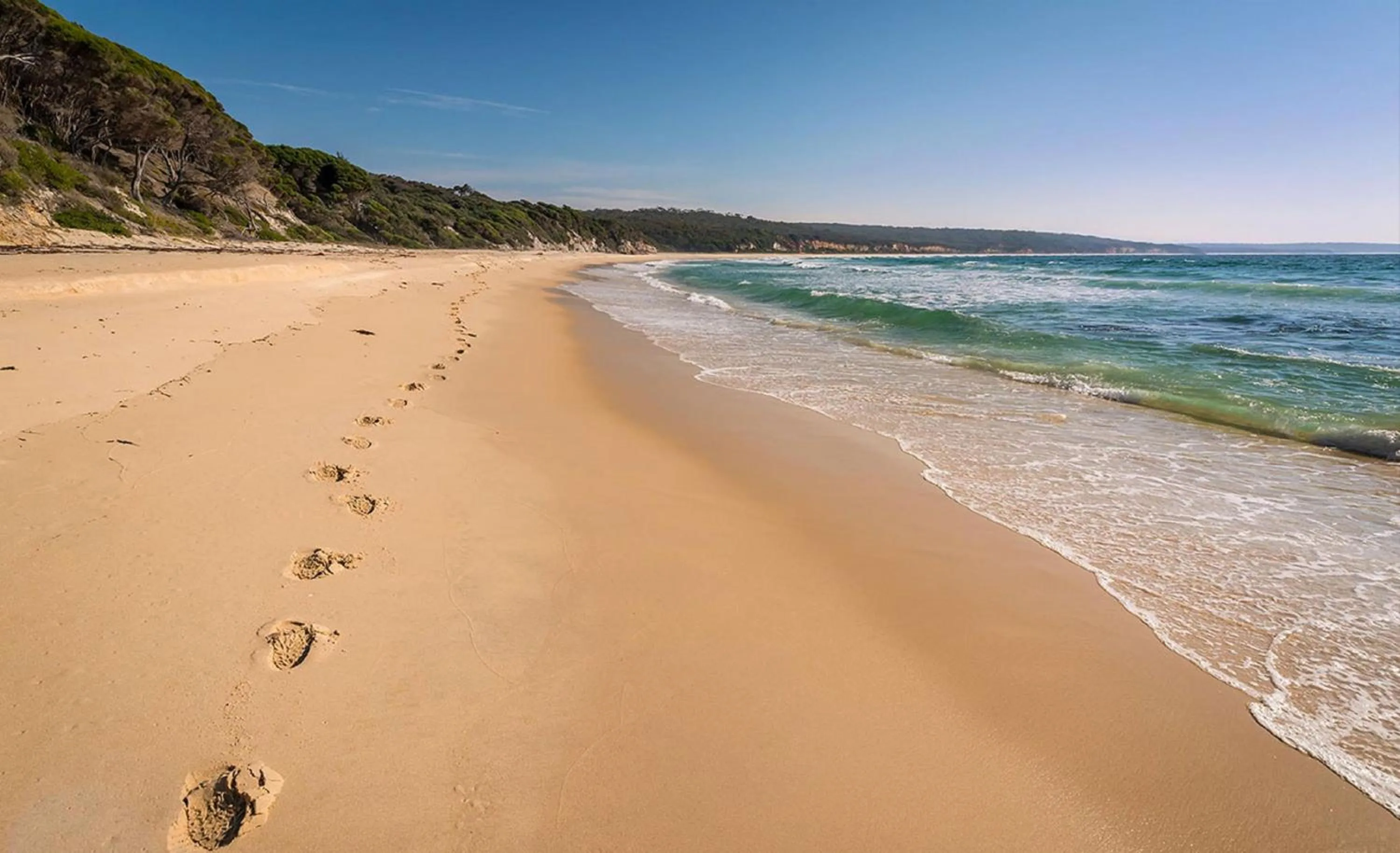 Natural landscape in Catlins Newhaven Holiday Park
