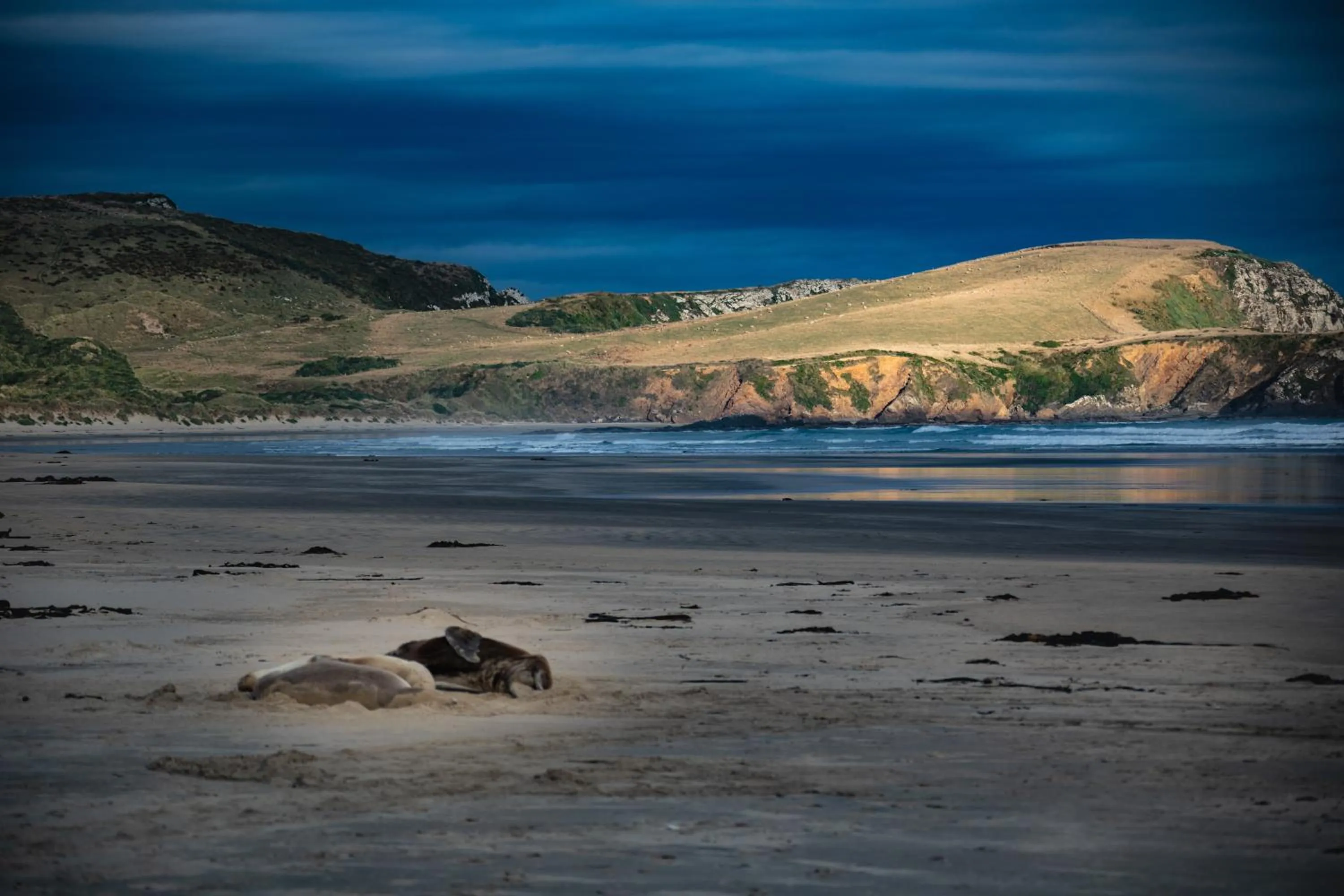 Catlins Newhaven Holiday Park