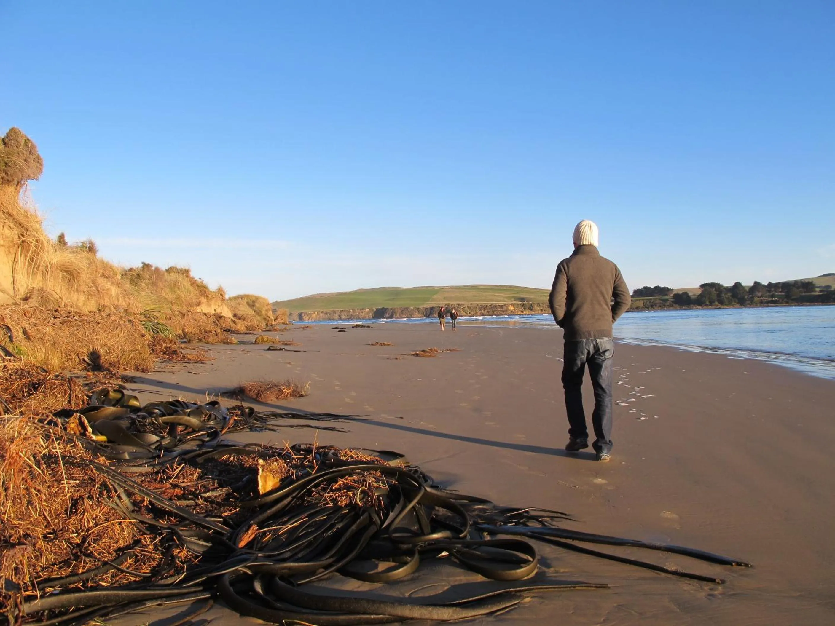 Sunset in Catlins Newhaven Holiday Park