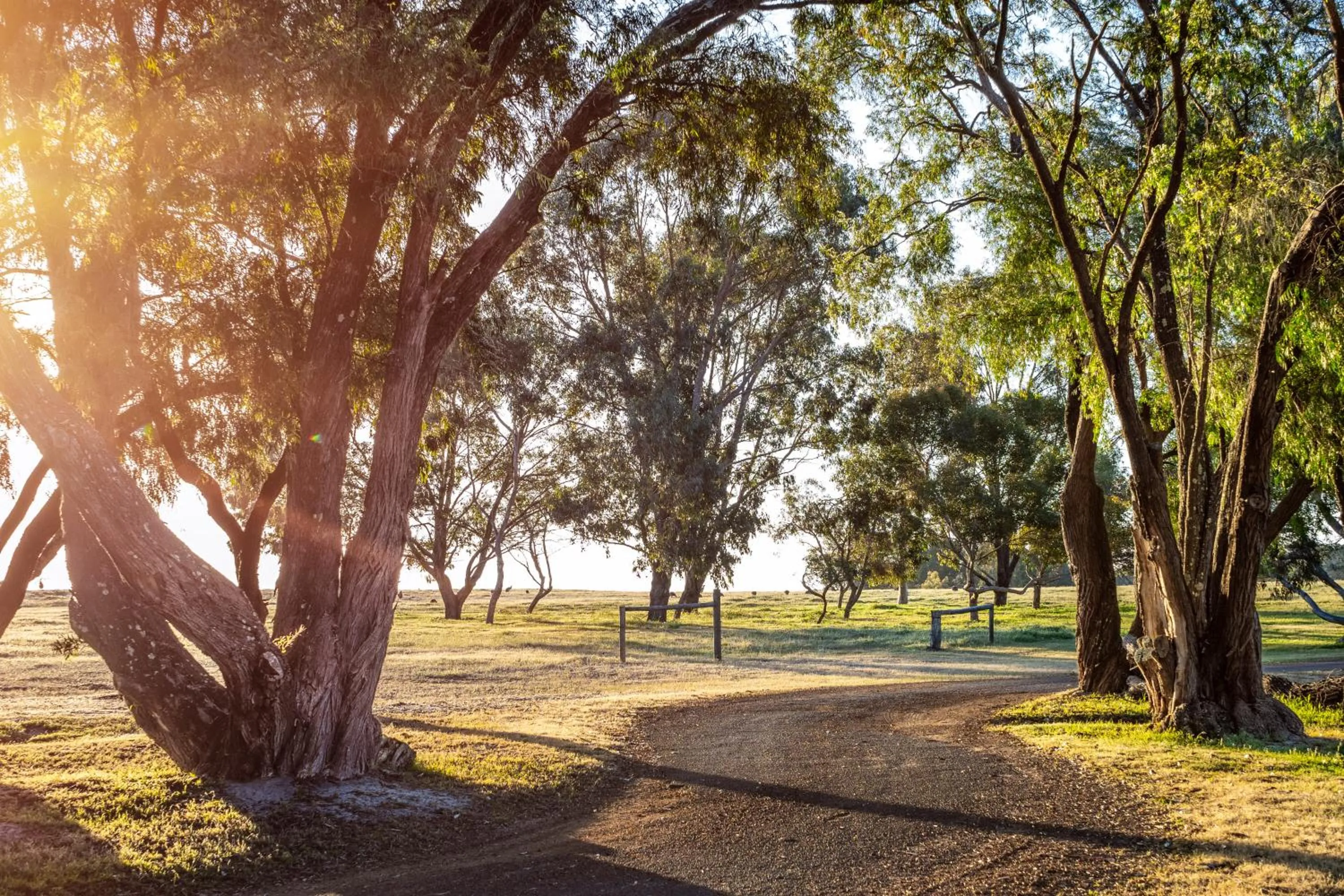 Garden in Forest Rise Chalets and Lodge