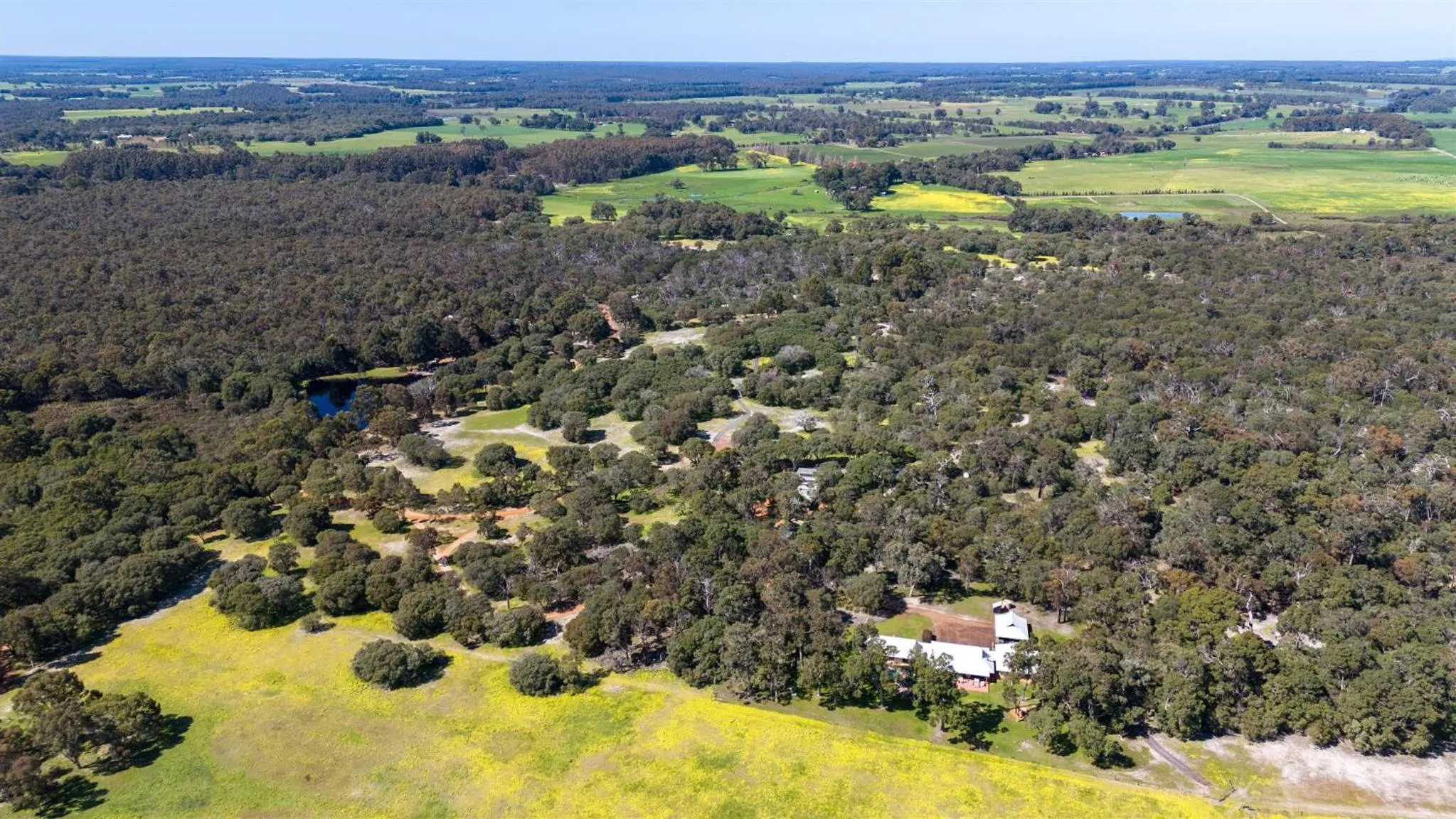 Natural landscape in Forest Rise Chalets and Lodge