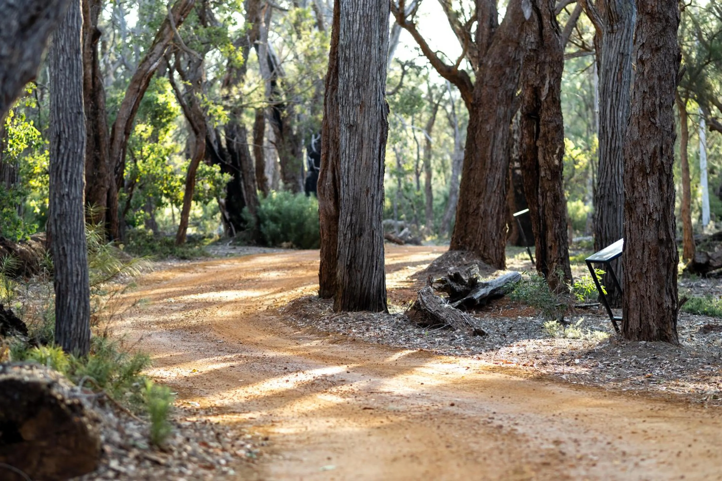 Garden in Forest Rise Chalets and Lodge