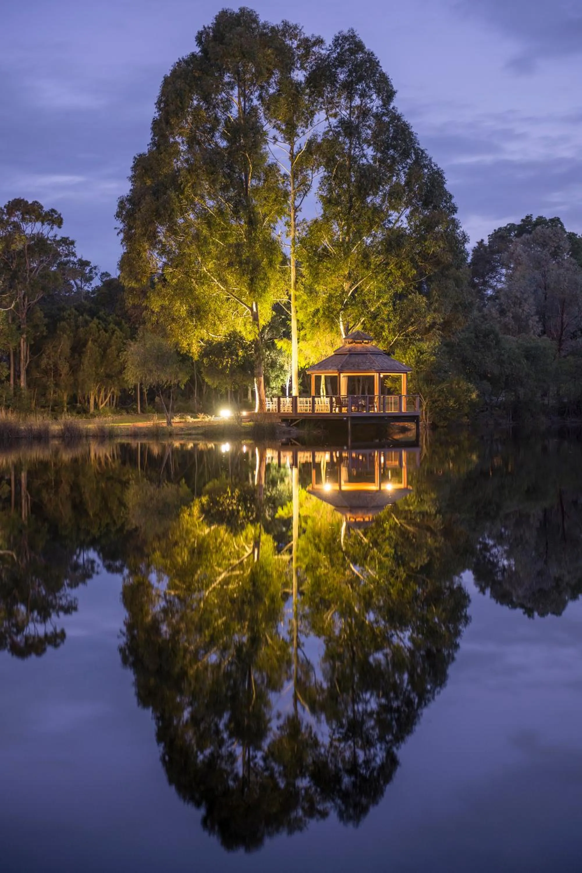 Garden in Forest Rise Chalets and Lodge
