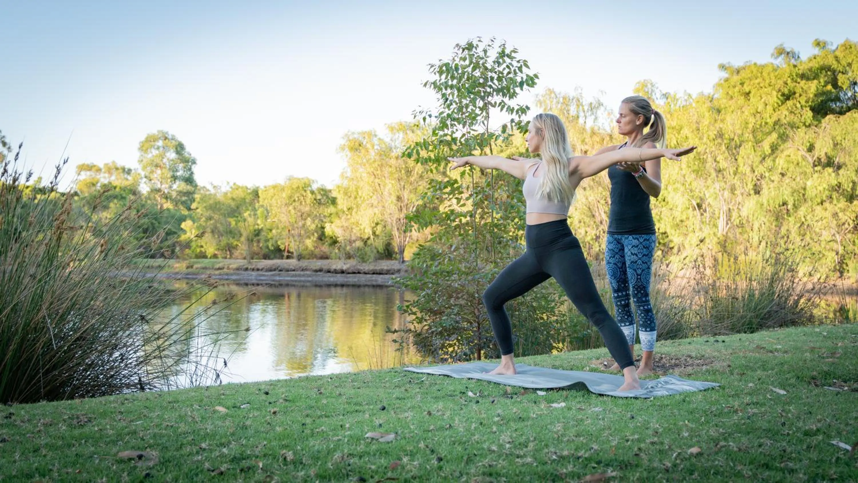 Natural landscape in Forest Rise Chalets and Lodge