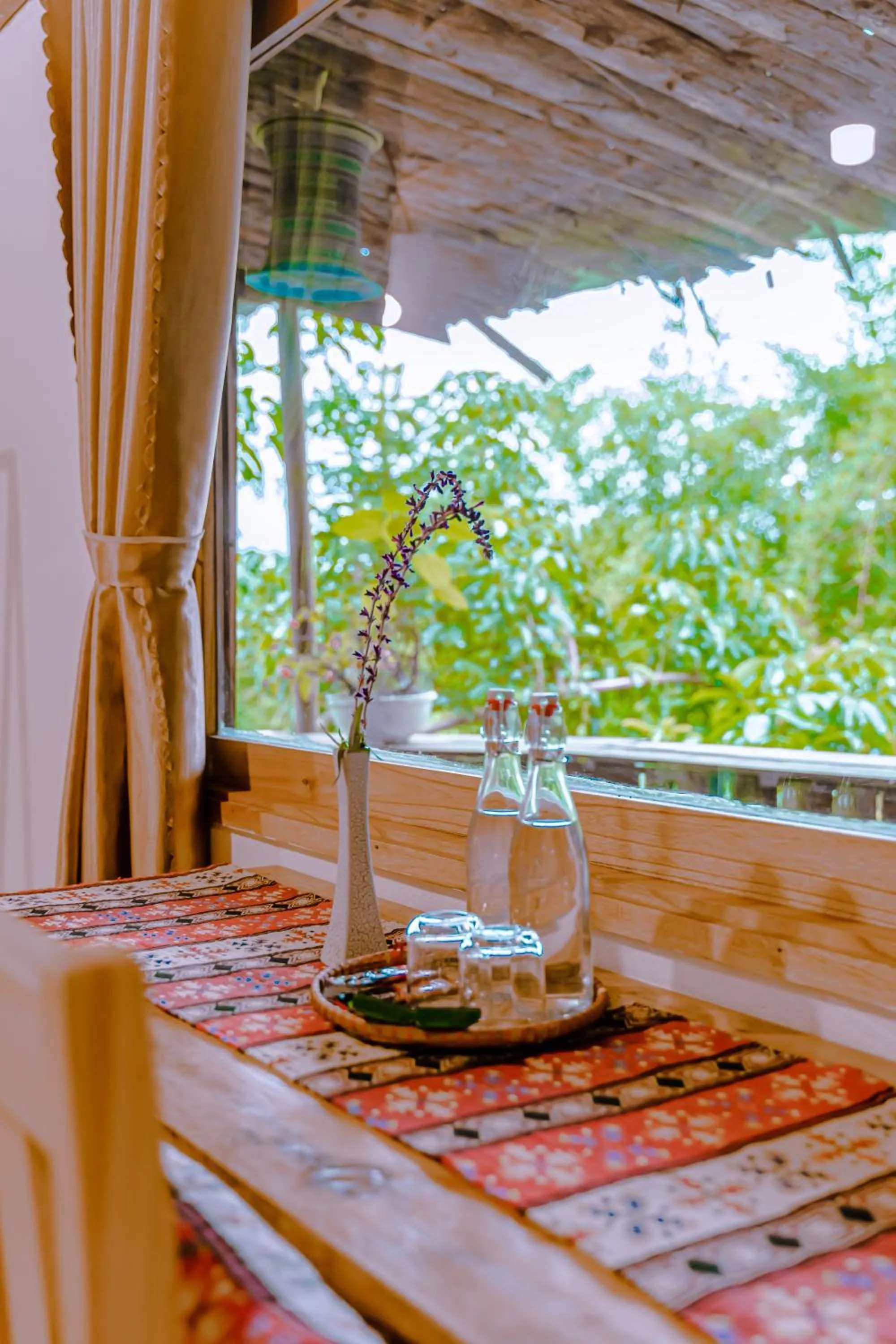 Garden view in Healing Homestay Sapa