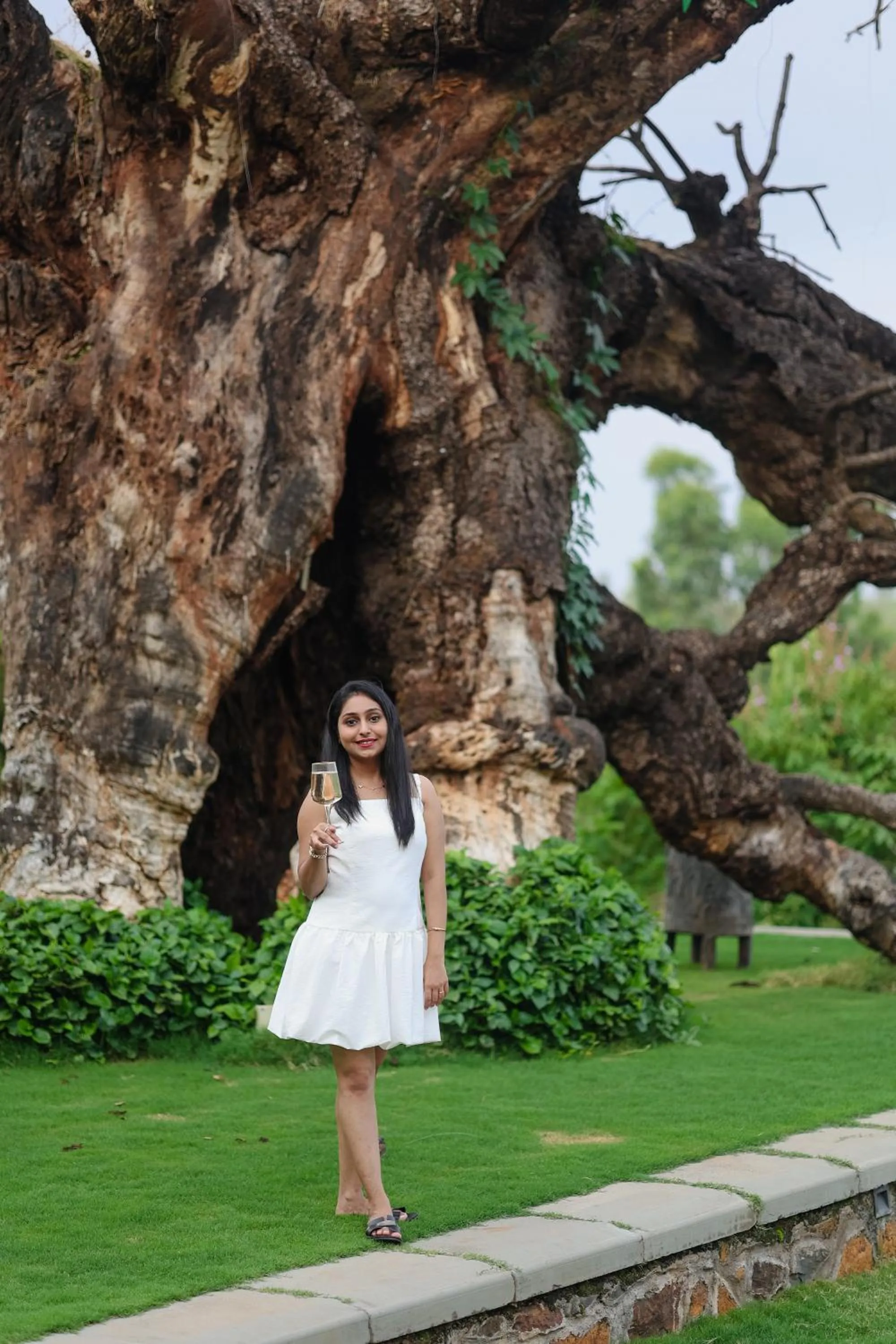 Garden in Radisson Resort Hatgad Saputara