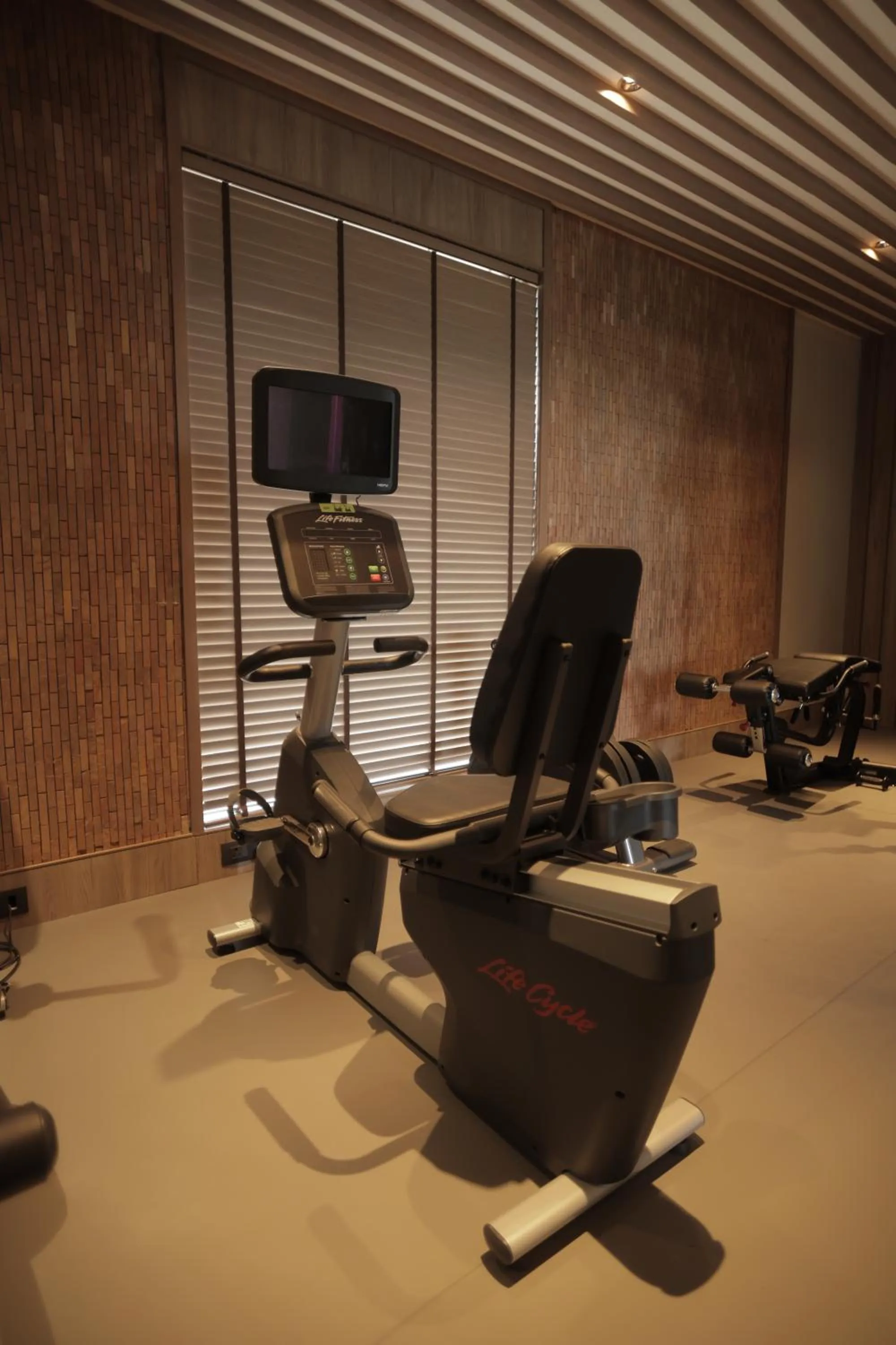 Fitness centre/facilities in Radisson Resort Hatgad Saputara