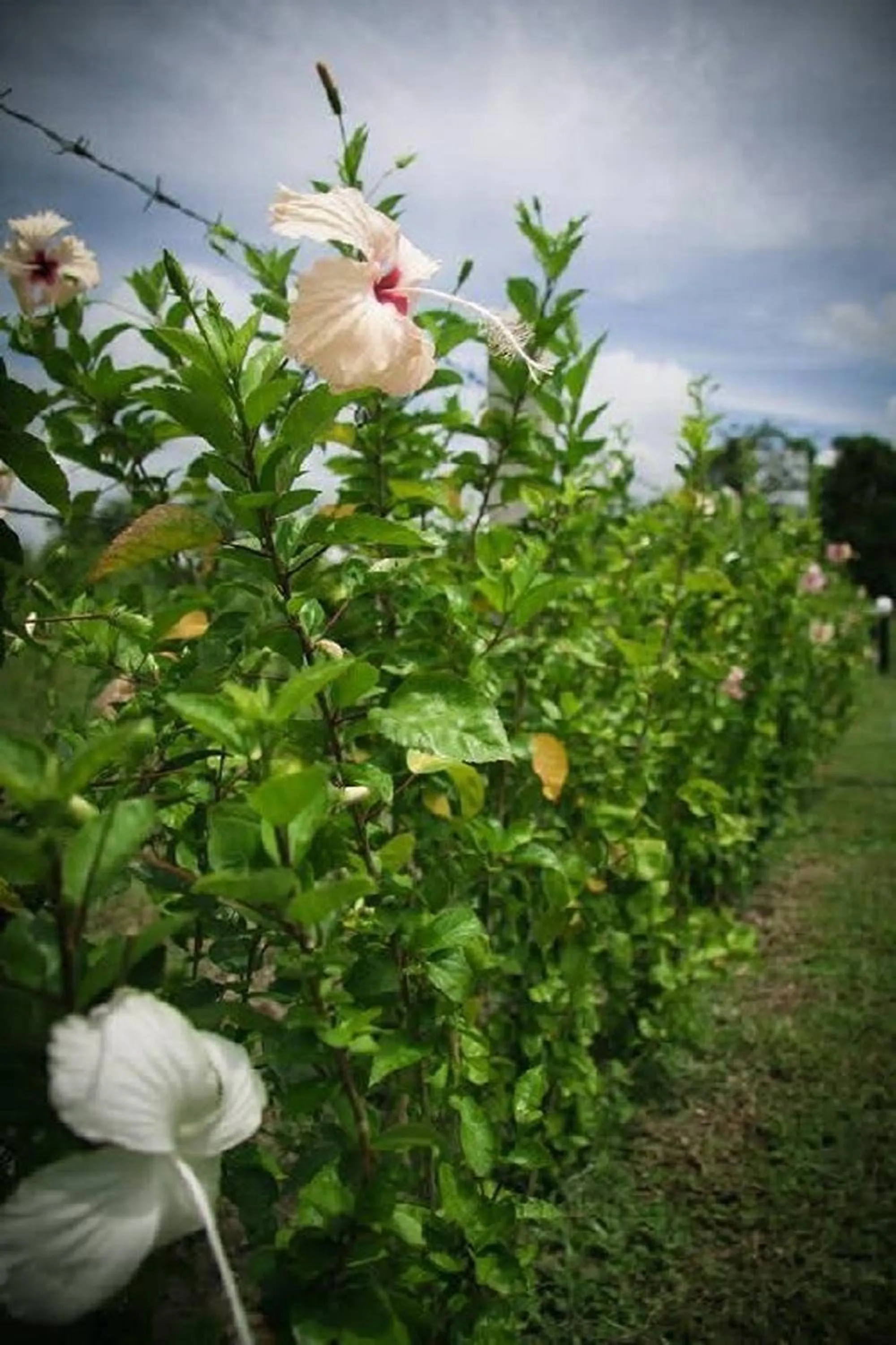 Area and facilities in Moonlight Cottage