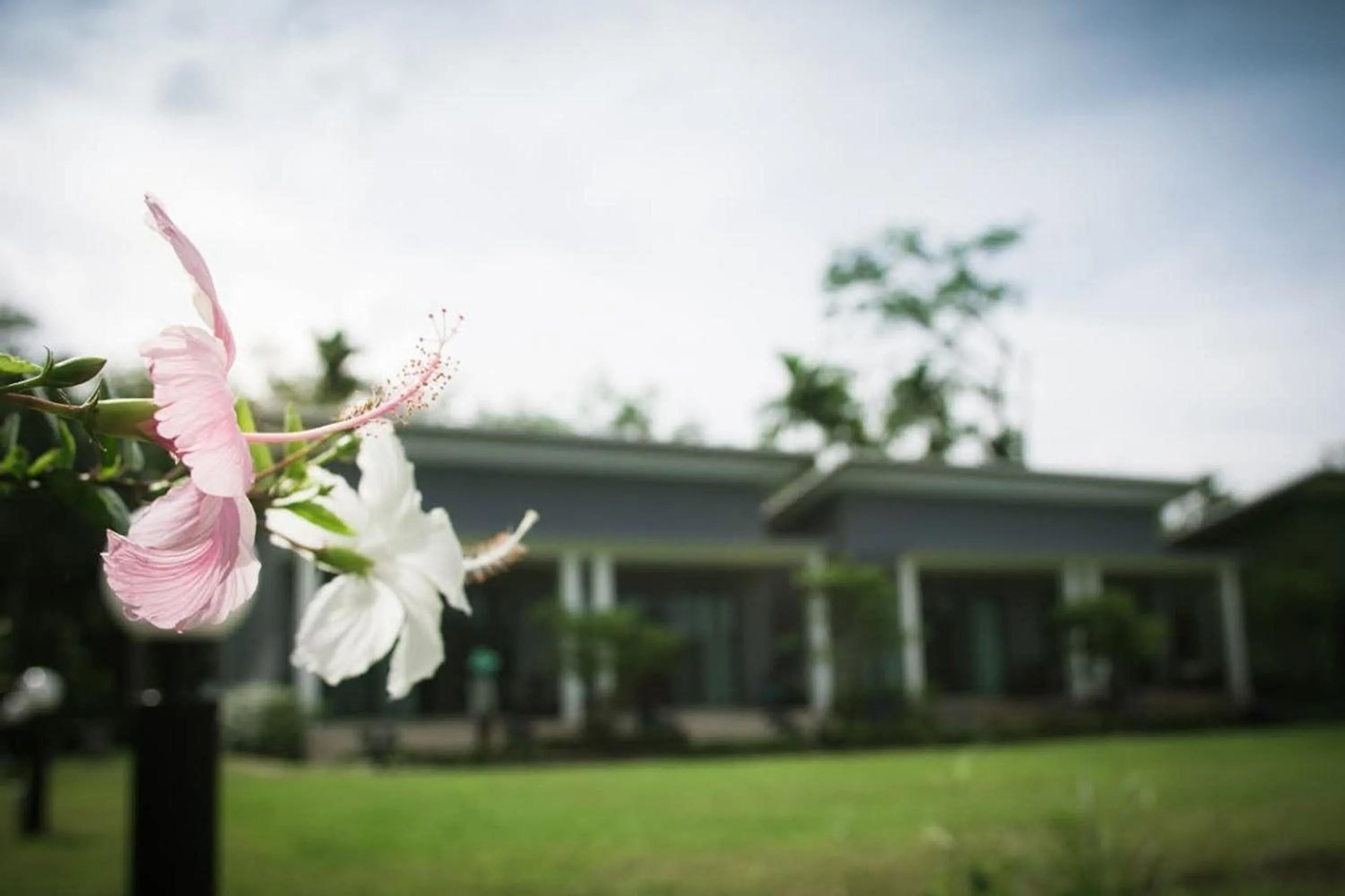 Property building in Moonlight Cottage