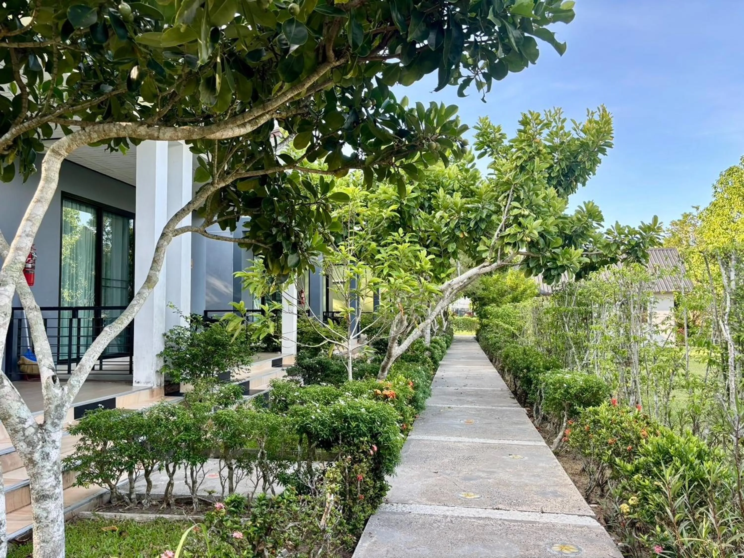 Garden view in Moonlight Cottage
