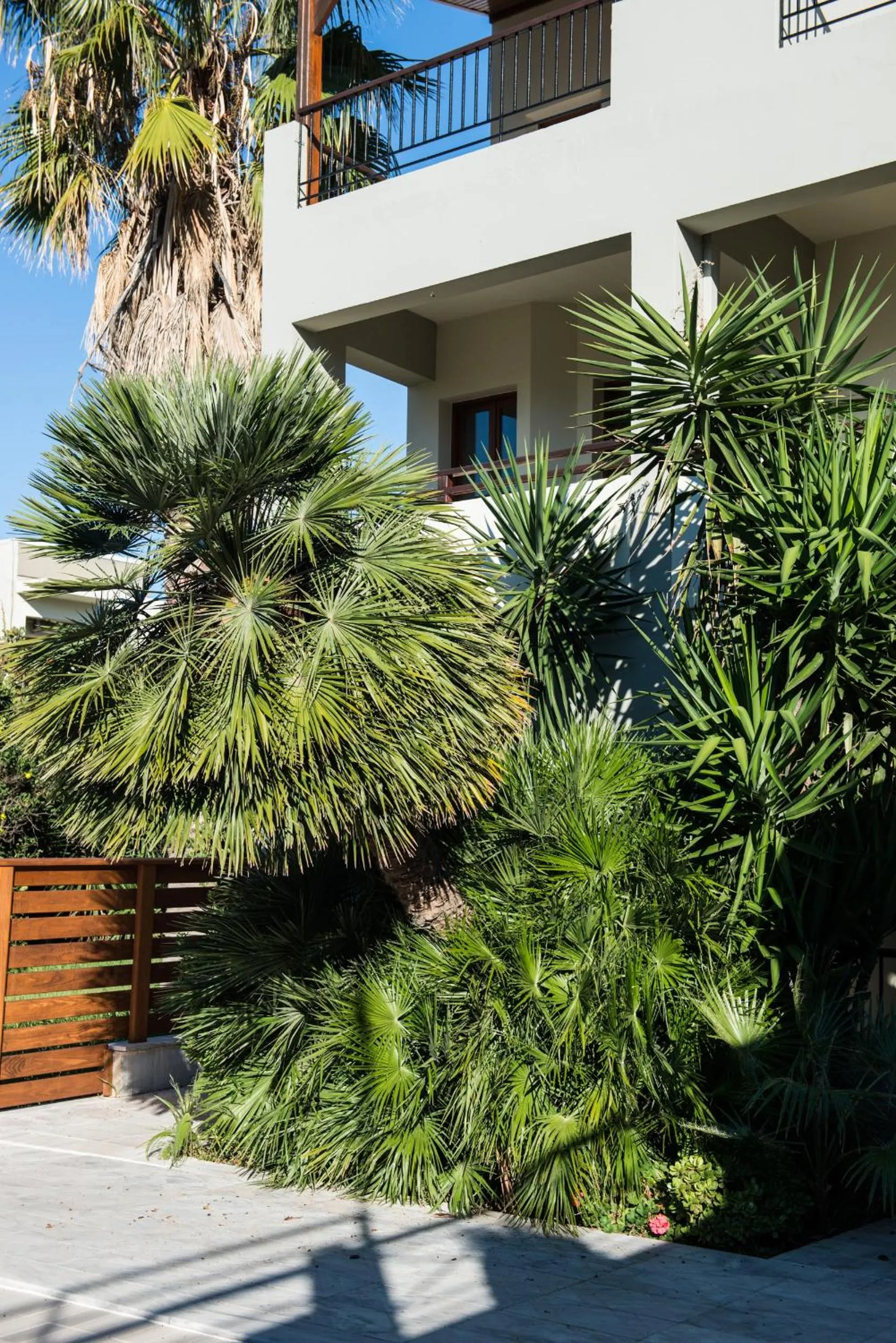 Garden in Casa Maria Hotel Apts