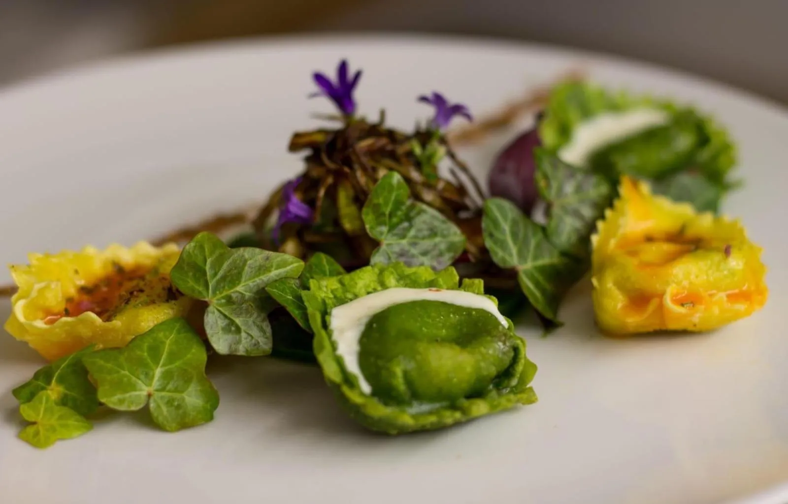 Restaurant/places to eat in Hotel ZUM STERNENHOF