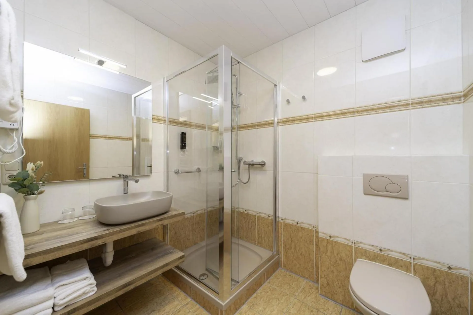 Toilet in Hotel ZUM STERNENHOF