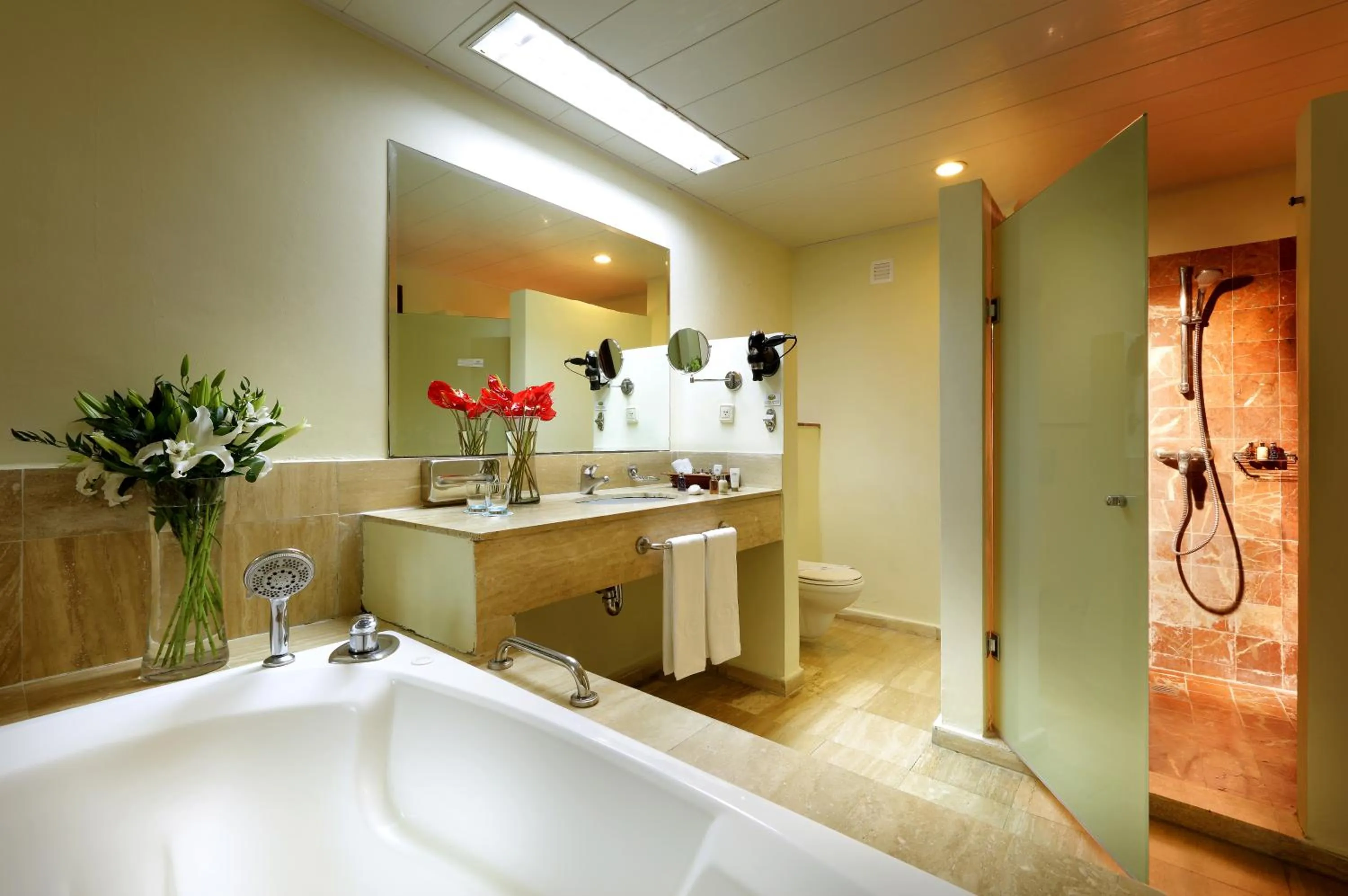 Toilet in The Signature Level at Grand Palladium Lady Hamilton Resort & Spa- All Inclusive