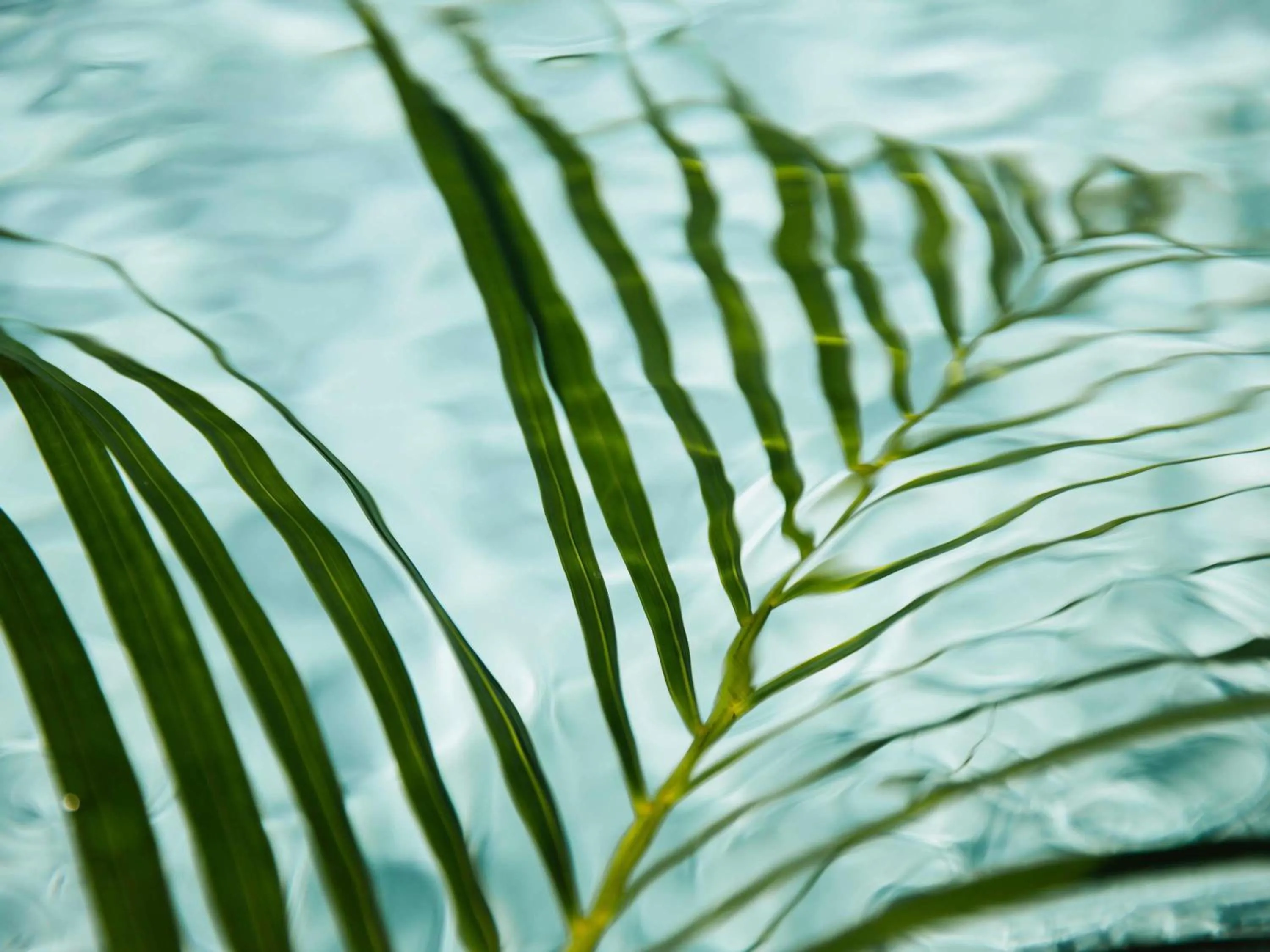 Pool view in Fairmont Breakers Long Beach