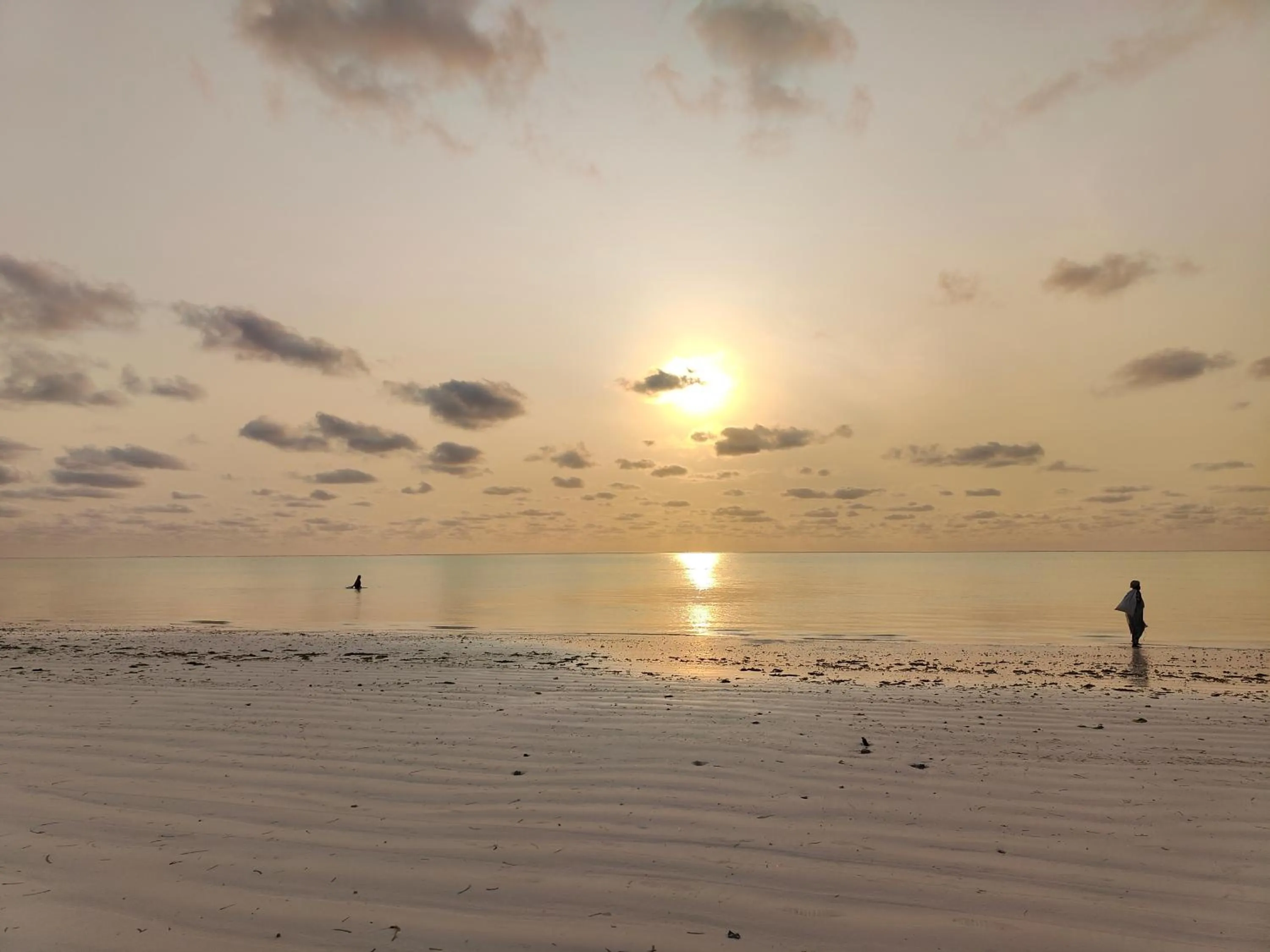 Beach in Paje By Night Bungalows