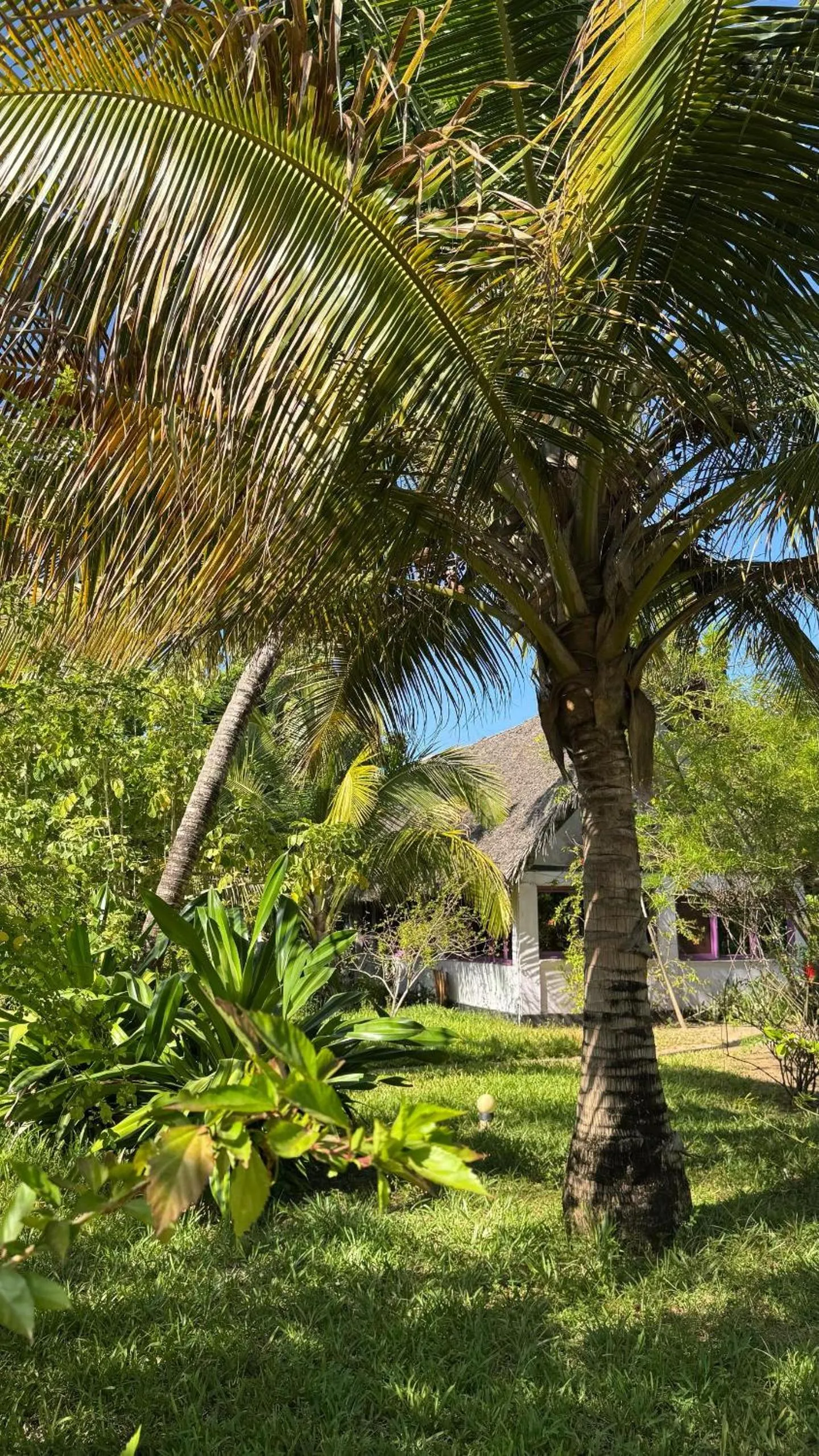 Property building in Paje By Night Bungalows