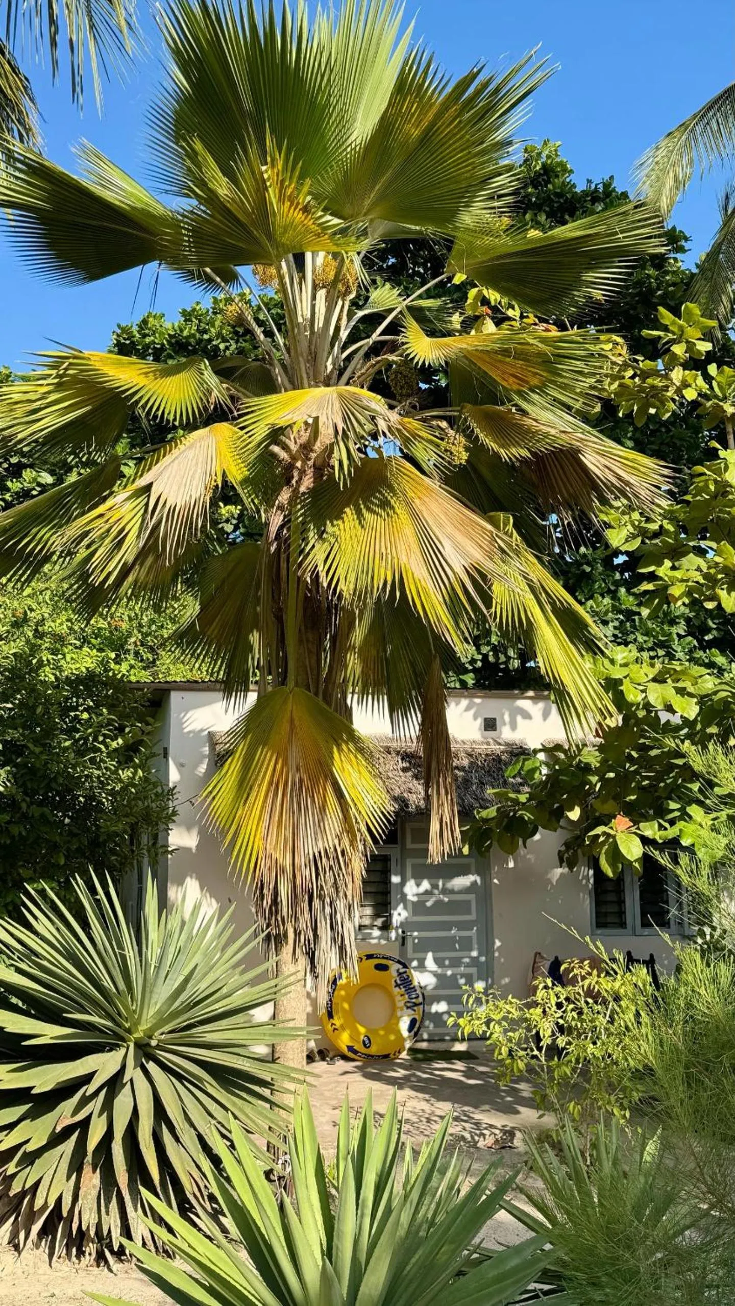 Garden in Paje By Night Bungalows