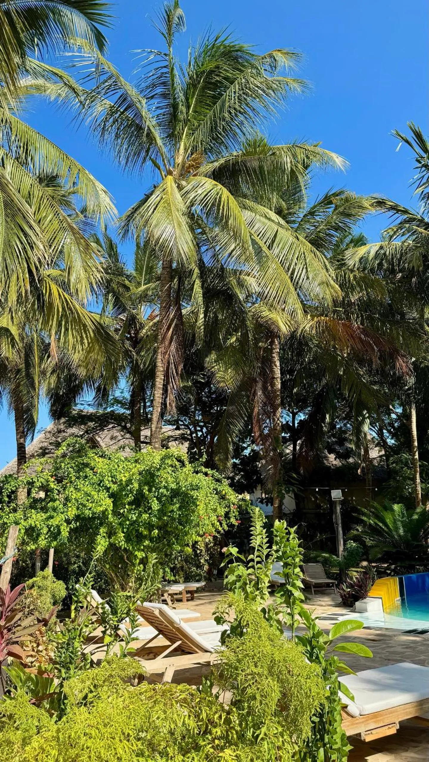 Pool view in Paje By Night Bungalows