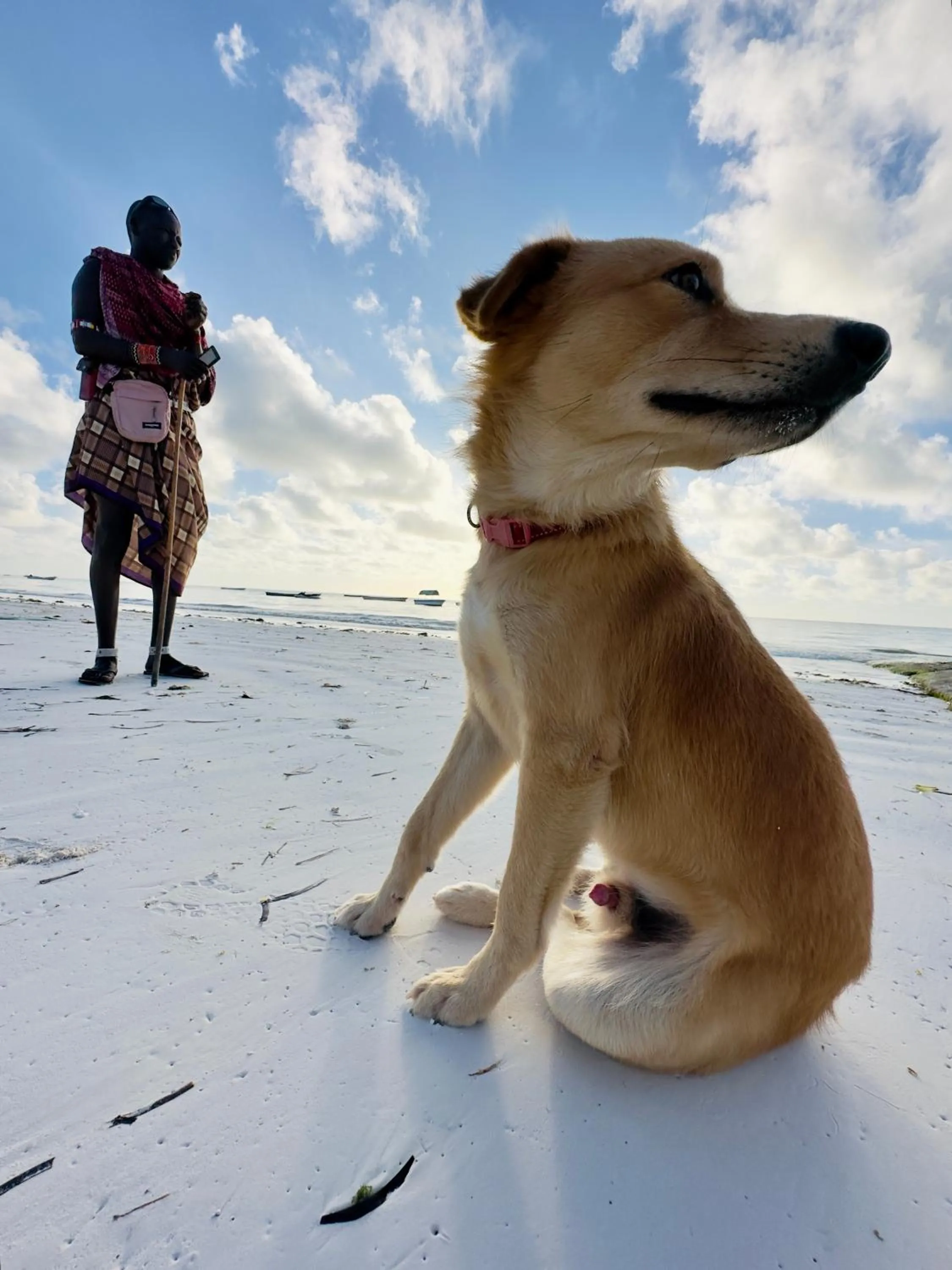 Beach in Paje By Night Bungalows