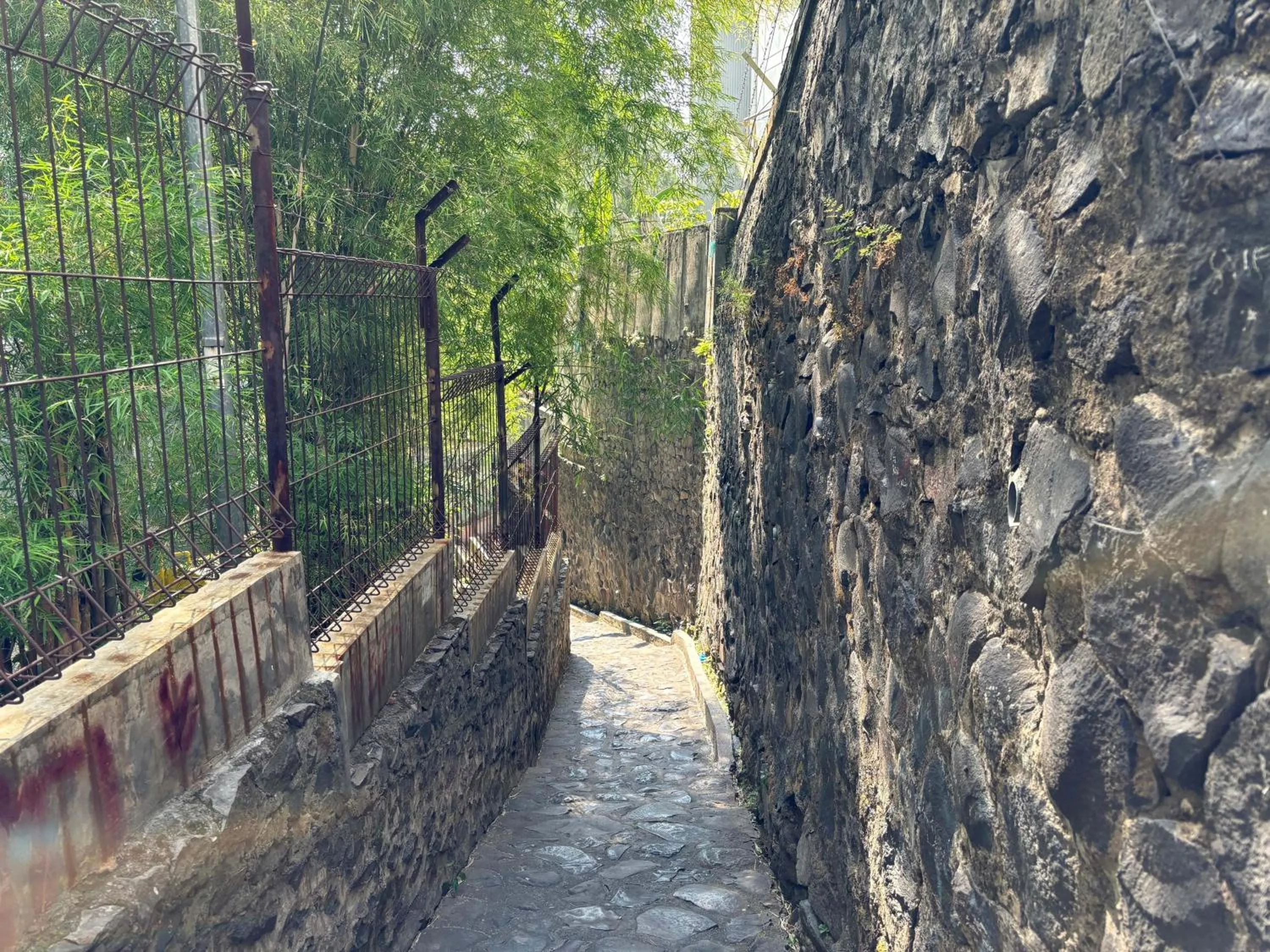 Area and facilities in The Jarrdin Apartment Hotels by Ironman