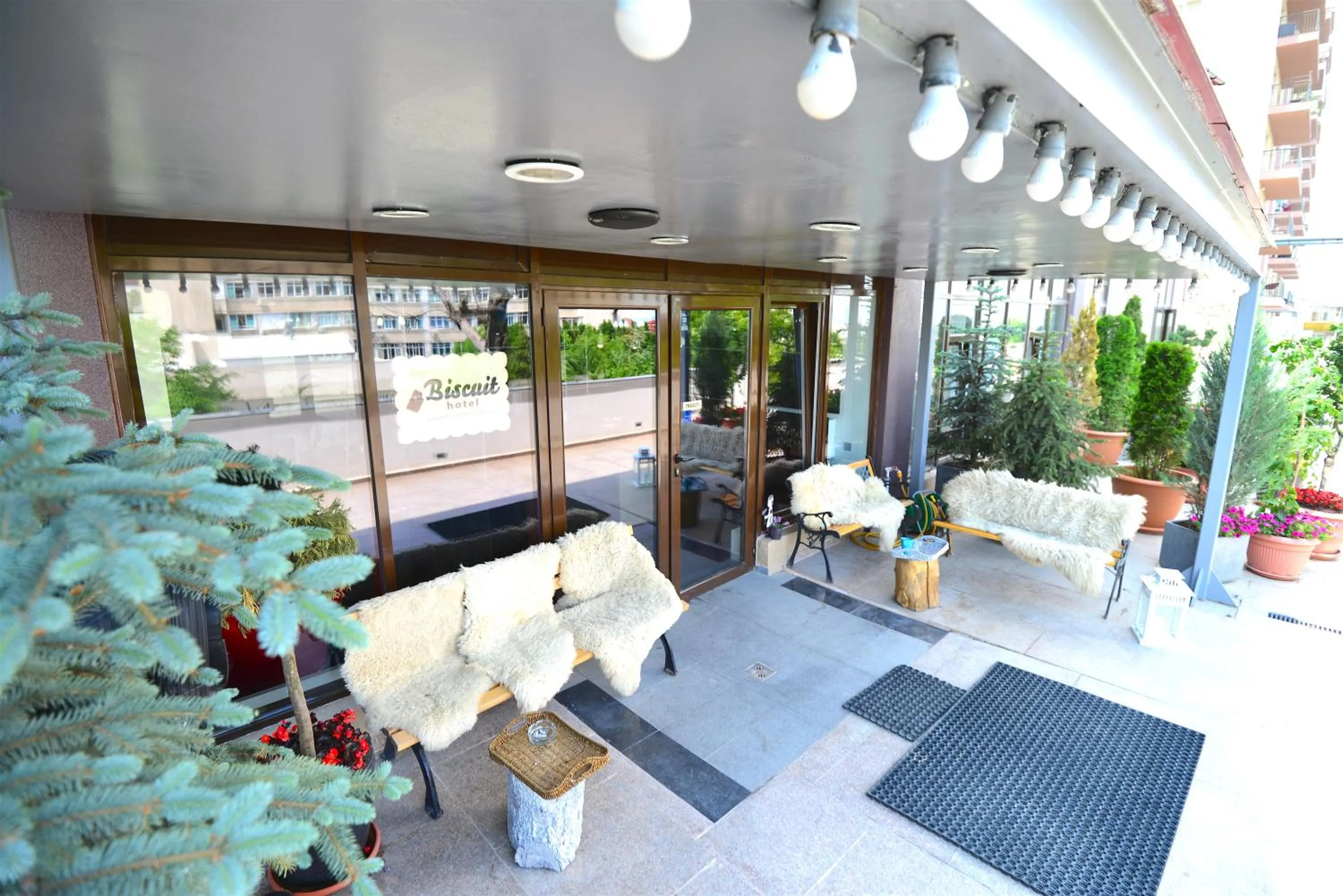 Balcony/Terrace in Hotel Biscuit