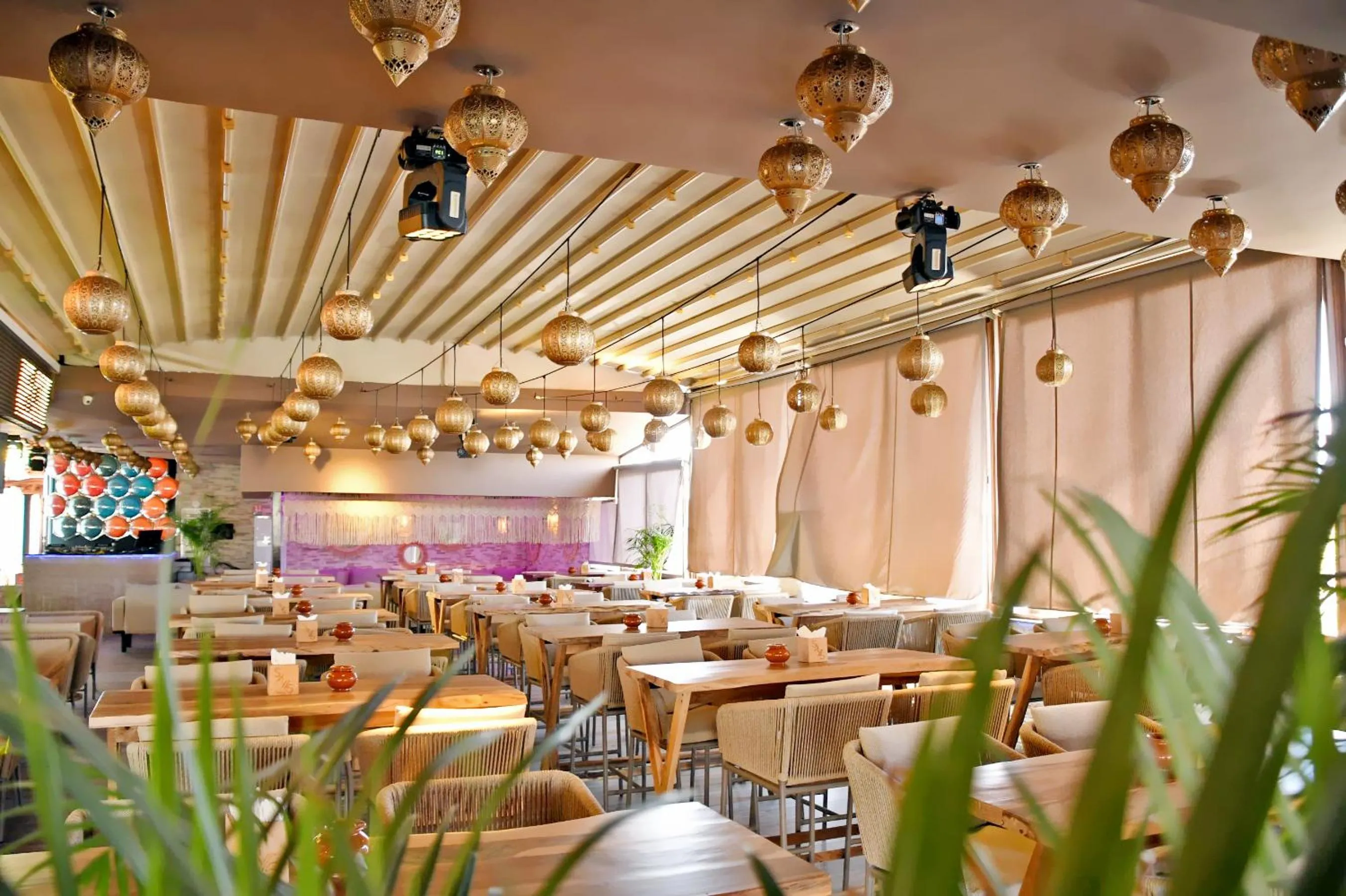 Restaurant/places to eat in 555 Hotel Clubbing Adults Only