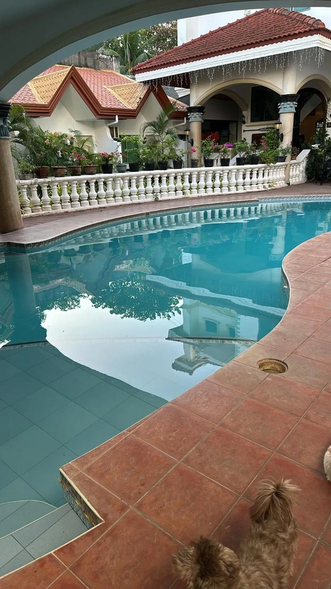  in Gracey Dive Resort and Restaurant