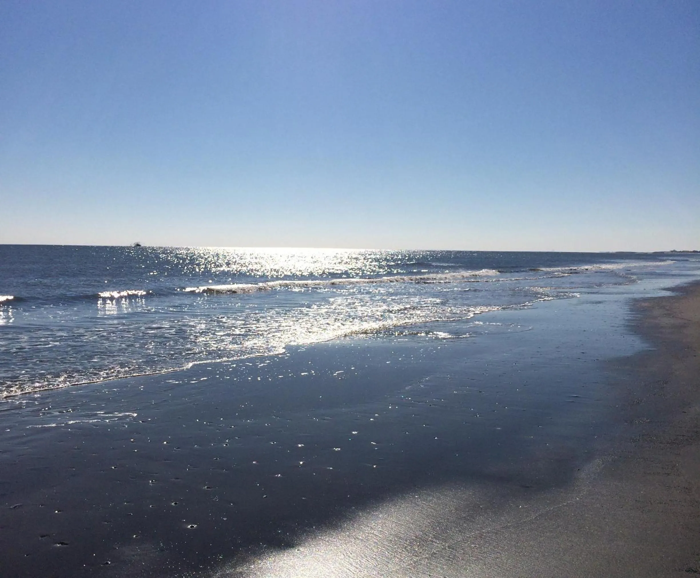 Beach in Blue Dolphin Inn and Cottages