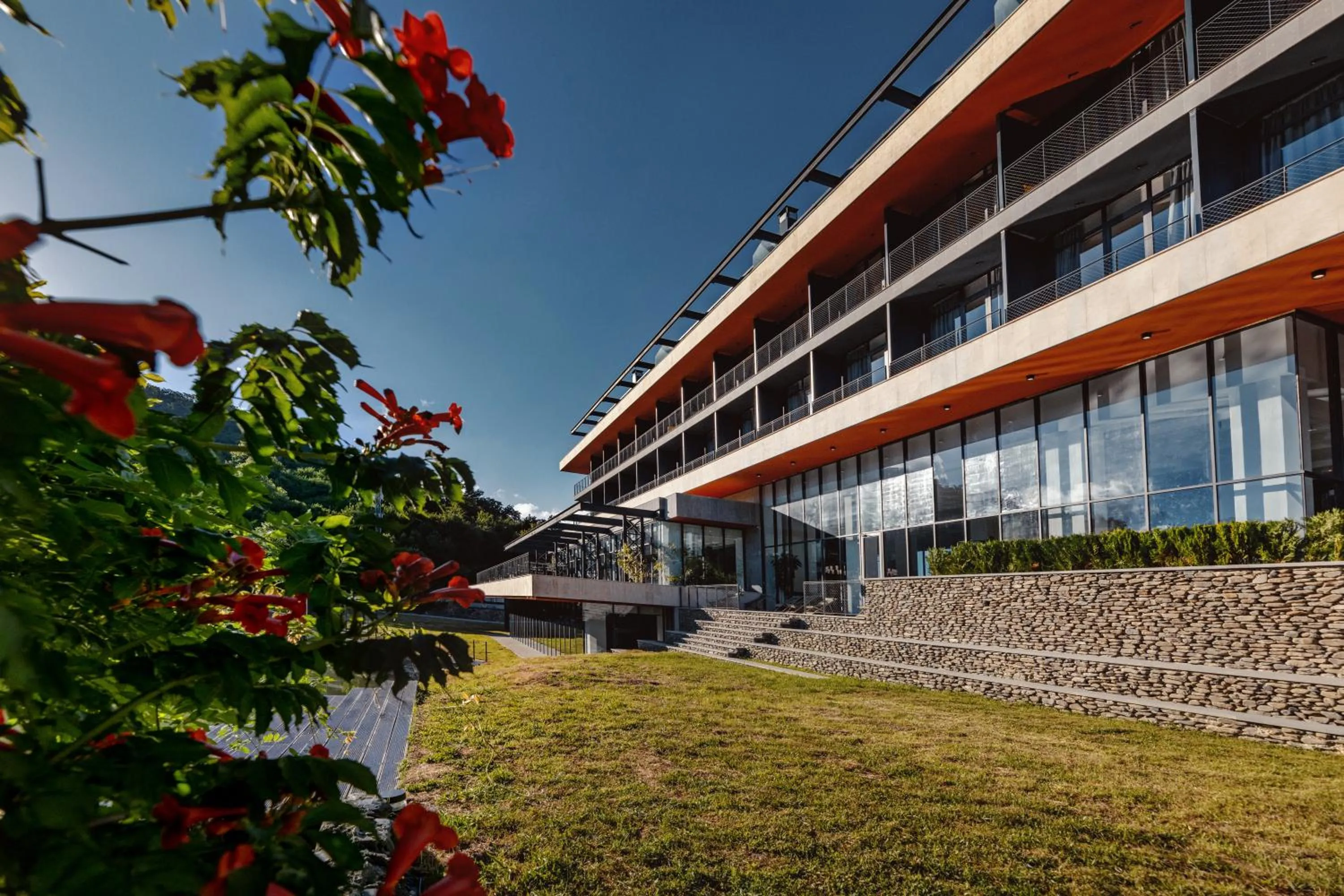 Property building in Kvareli Lake Resort