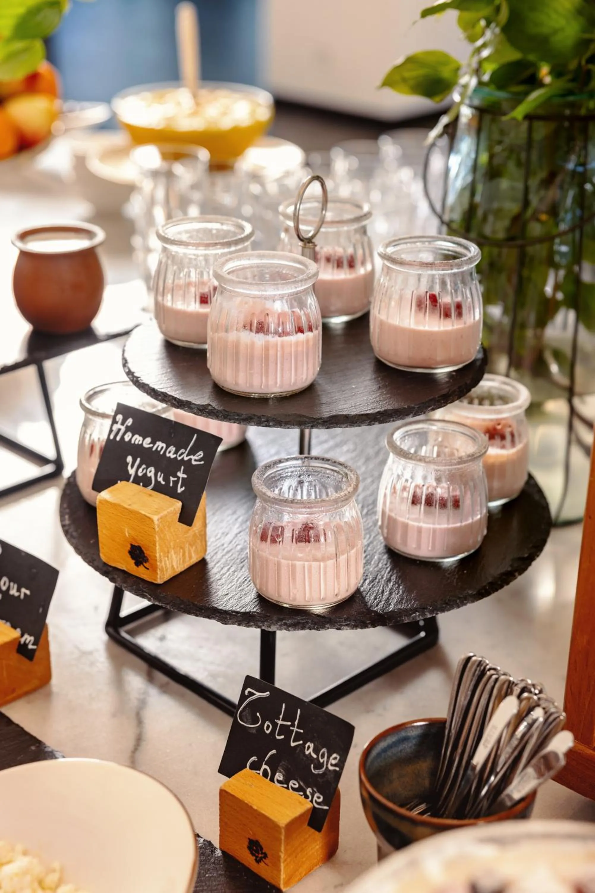 Breakfast in Kvareli Lake Resort