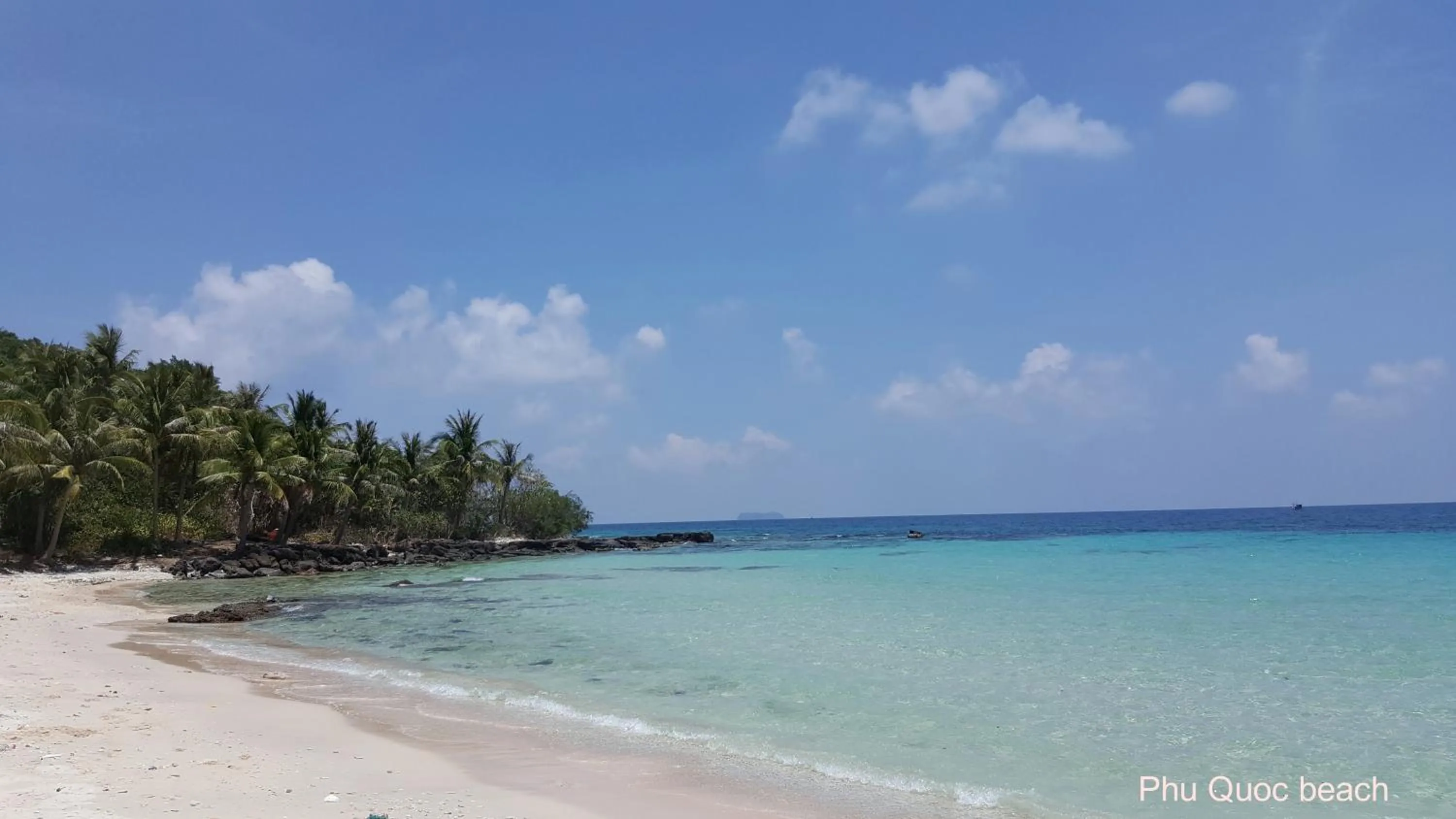 Fishing in Cottage Village