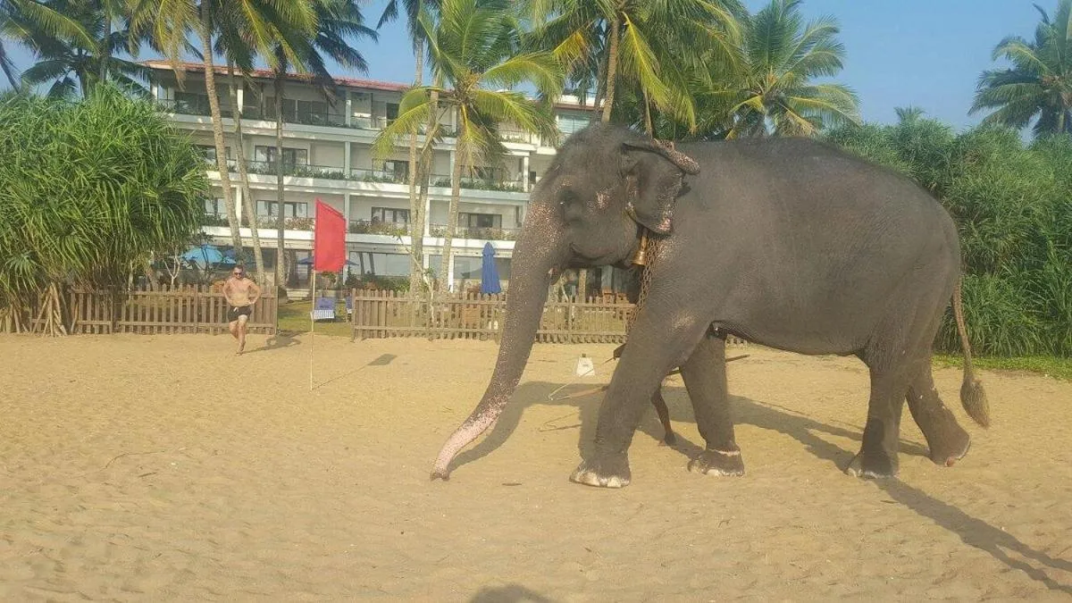 Day in Blue Beach Hotel