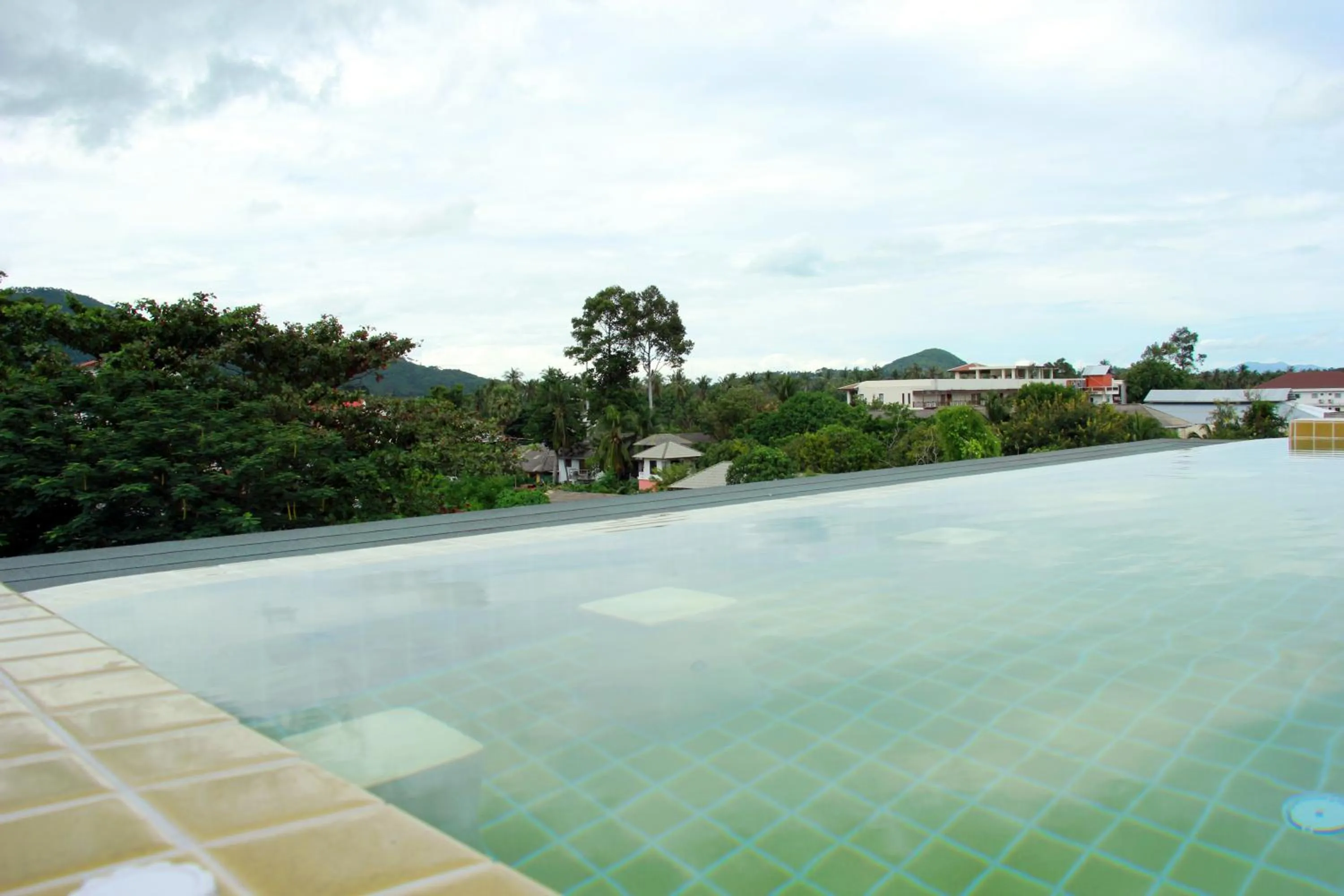 Swimming pool in Cheeky Monkey's Samui