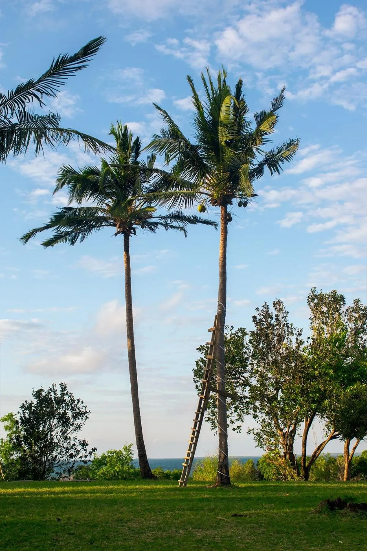 Utende Seacliff Resort